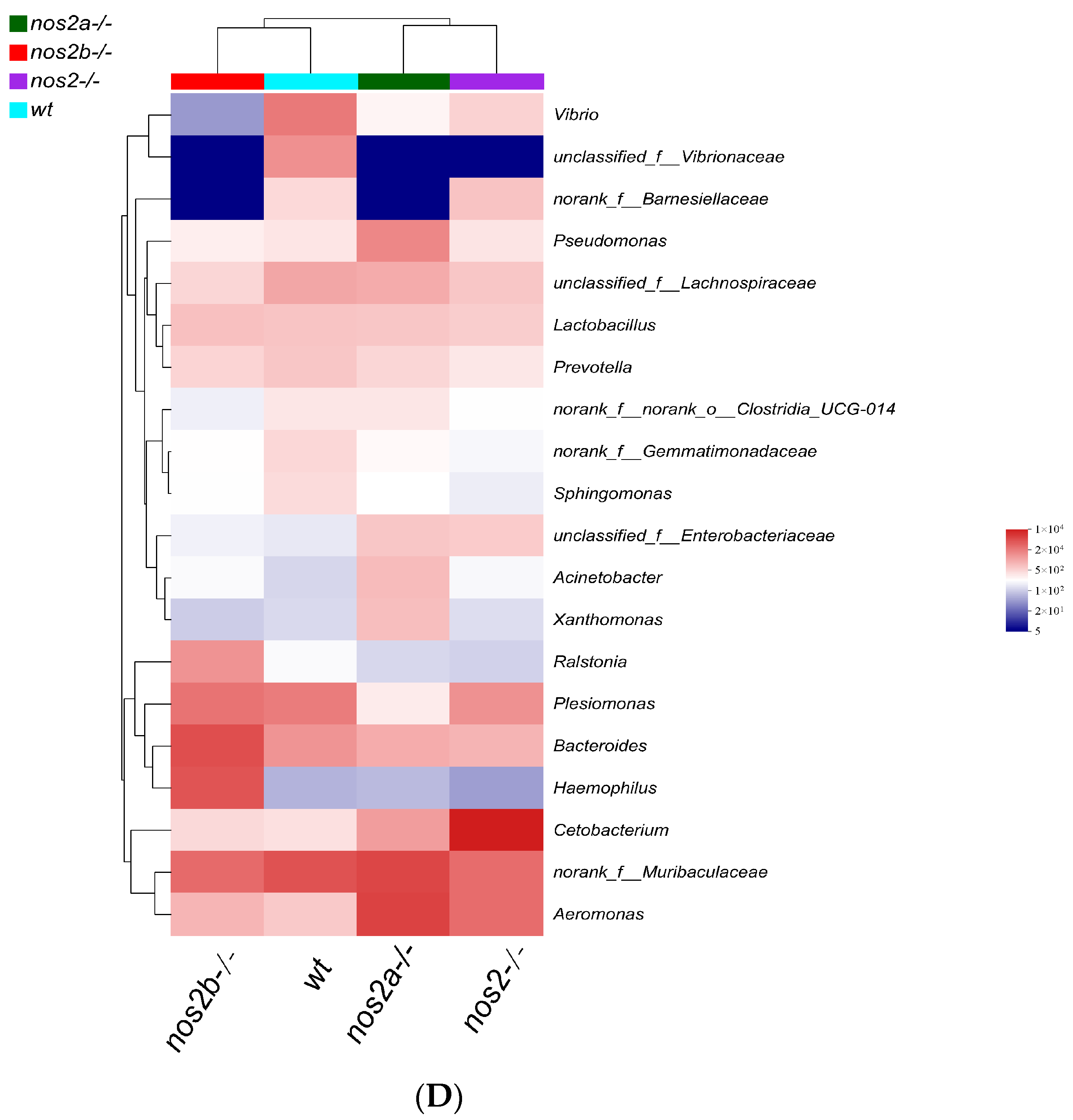 Biology 13 00372 g003b