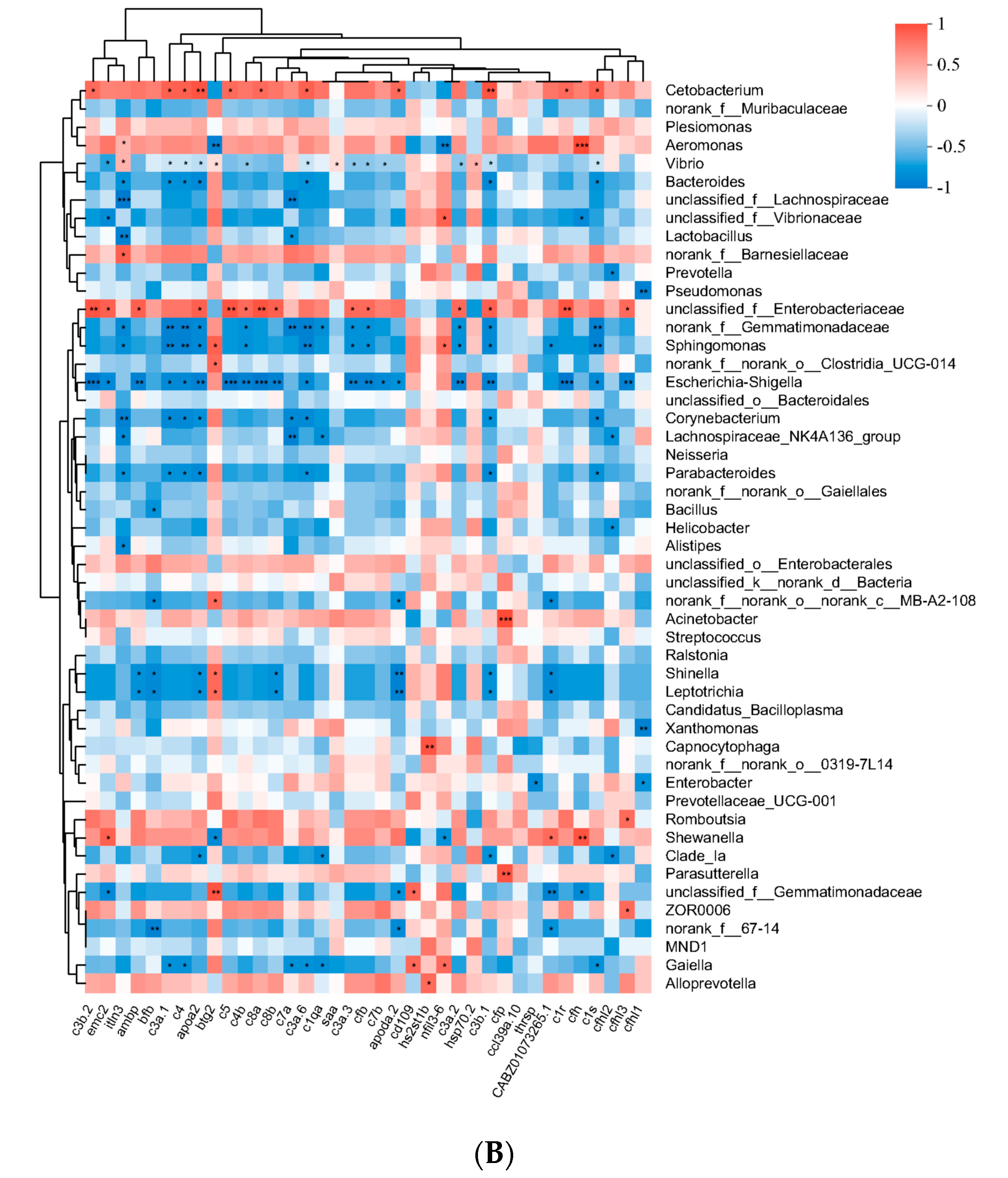 Biology 13 00372 g006b