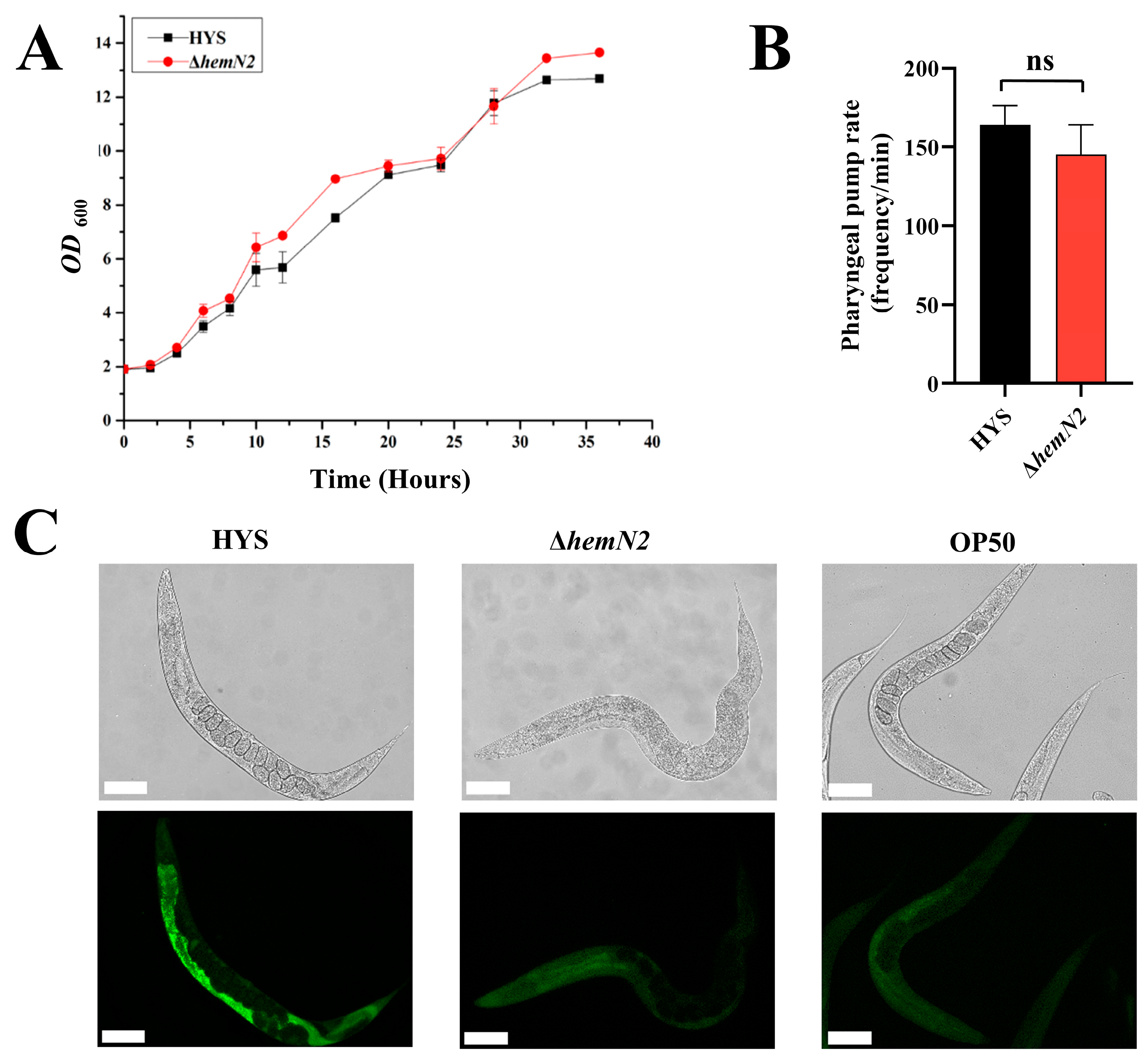 Biology 13 00373 g002