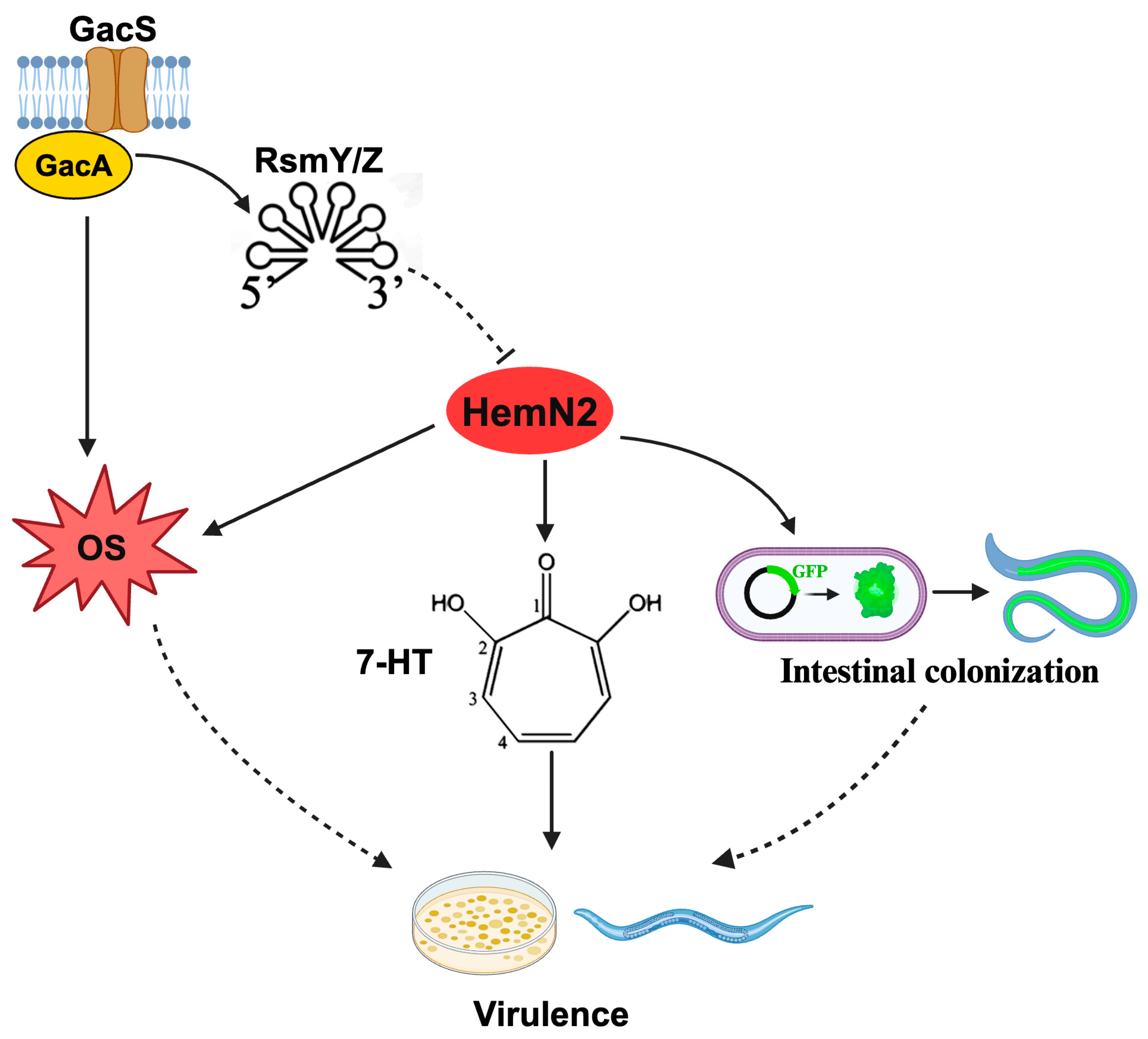 Biology 13 00373 g006