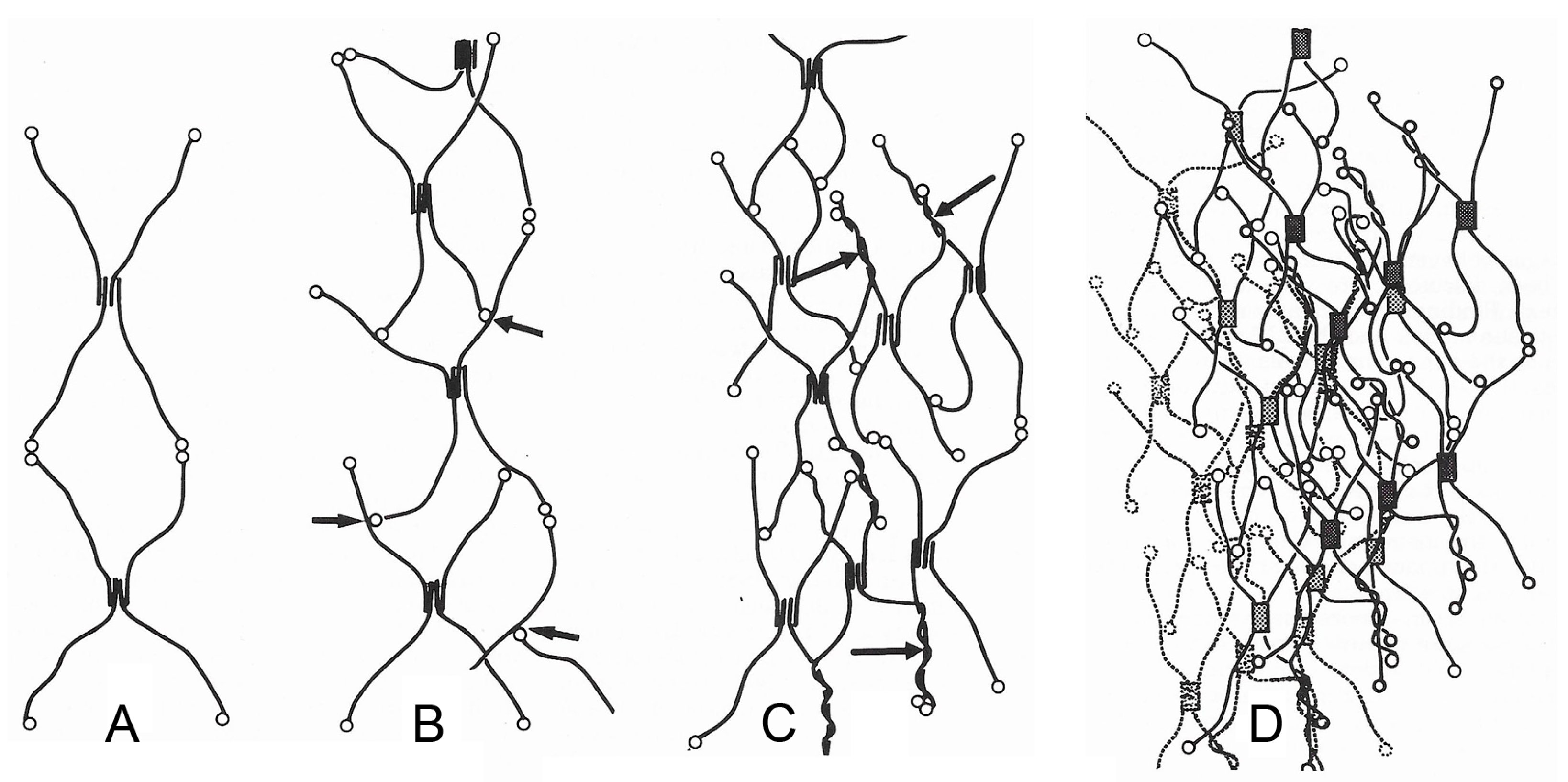 Biology 13 00375 g002