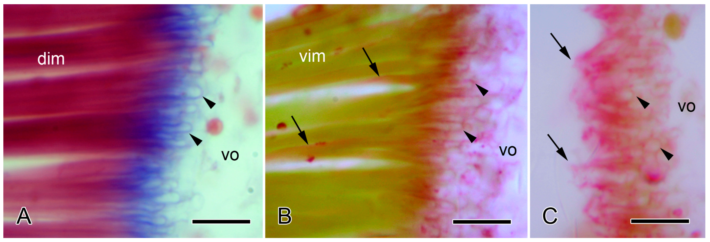 Biology 13 00375 g006