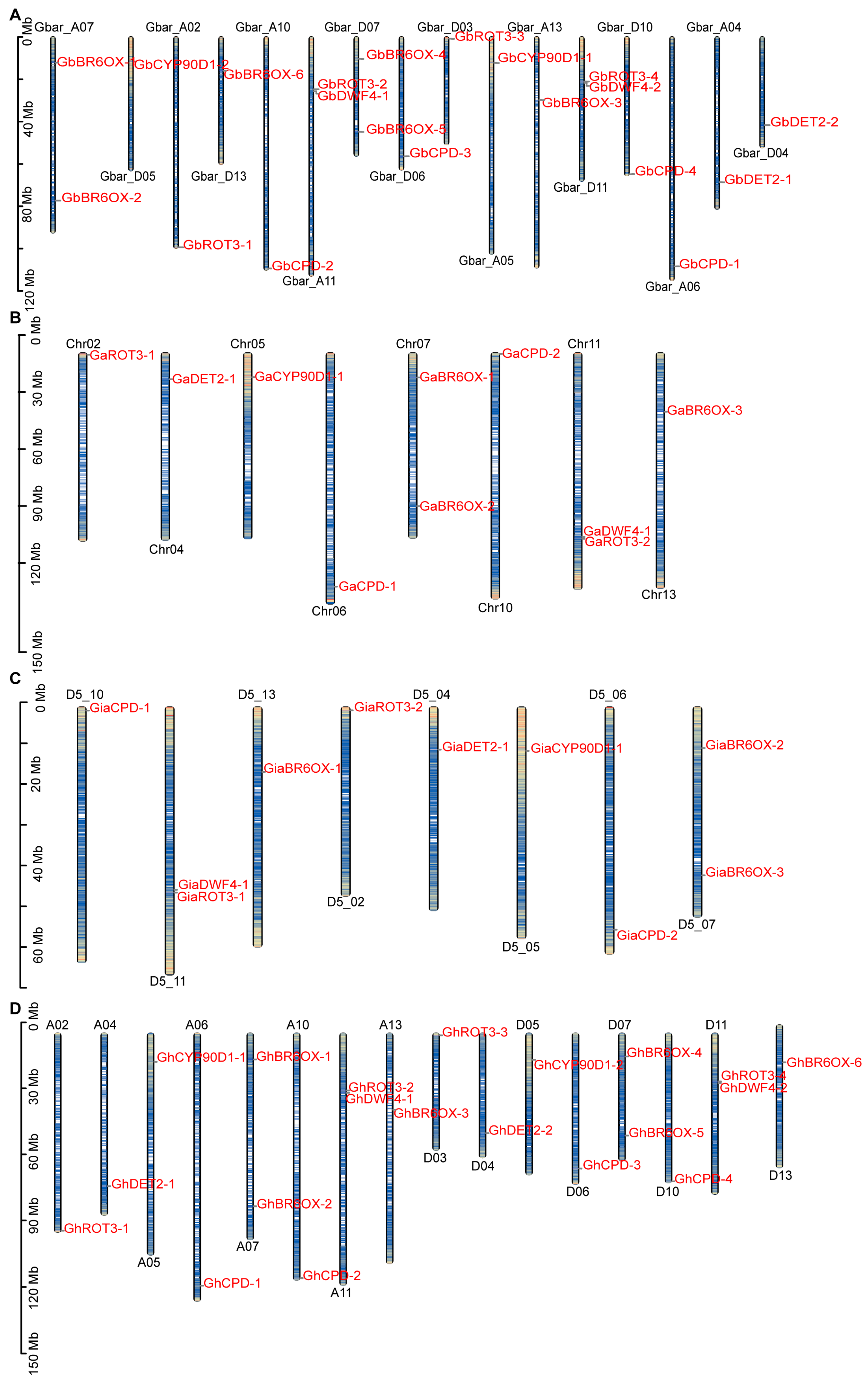 Biology 13 00380 g001