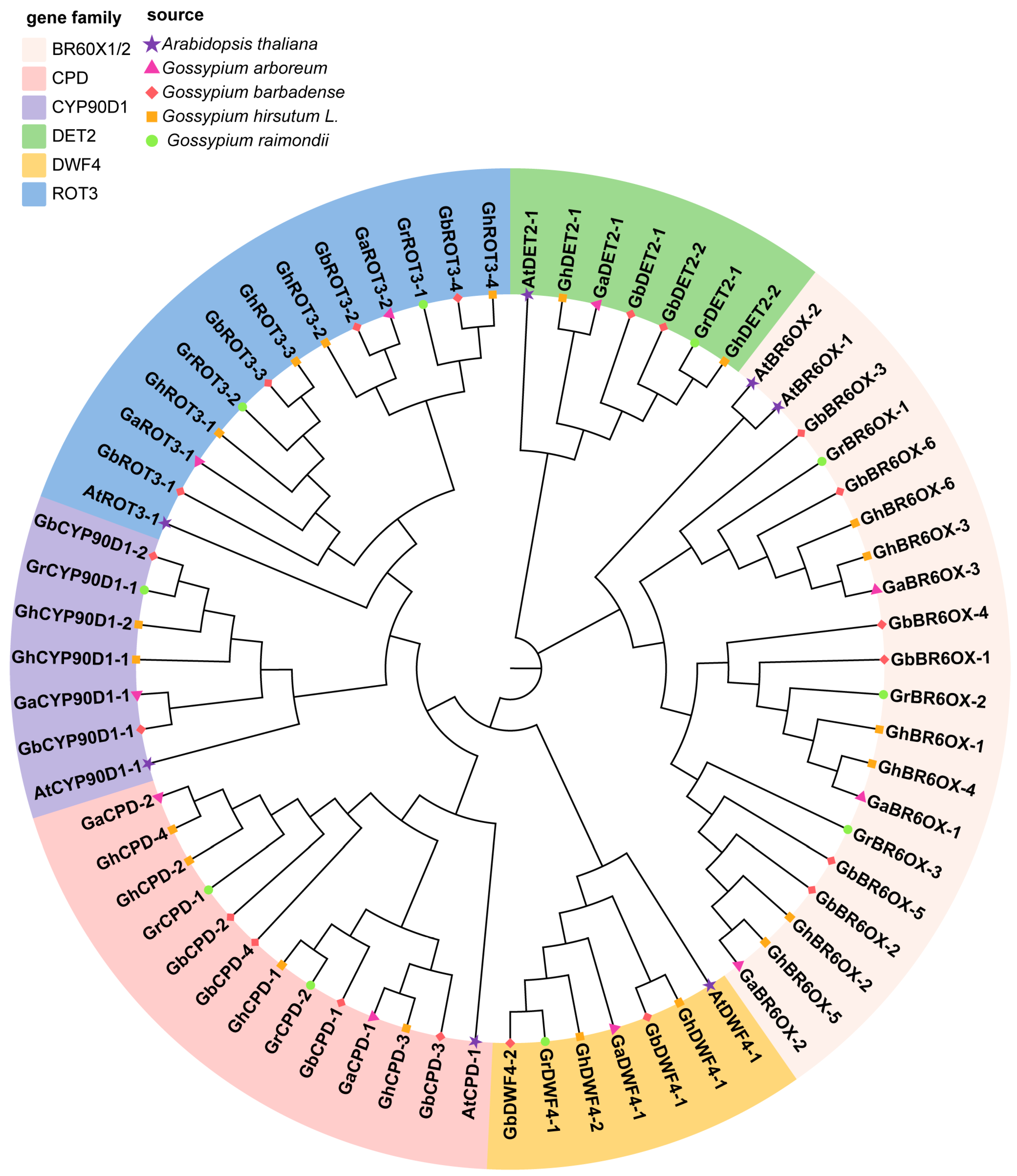 Biology 13 00380 g002