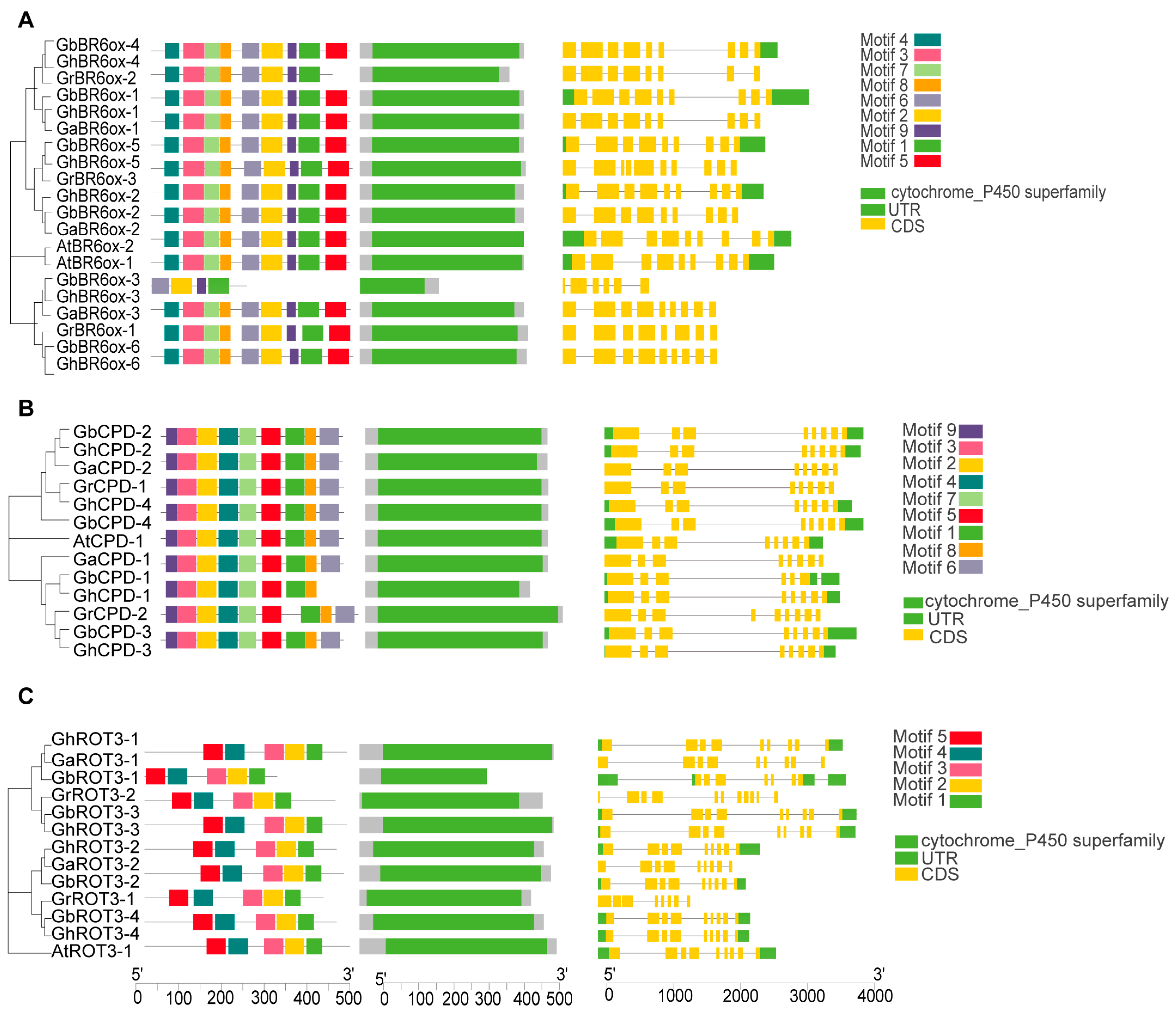 Biology 13 00380 g003