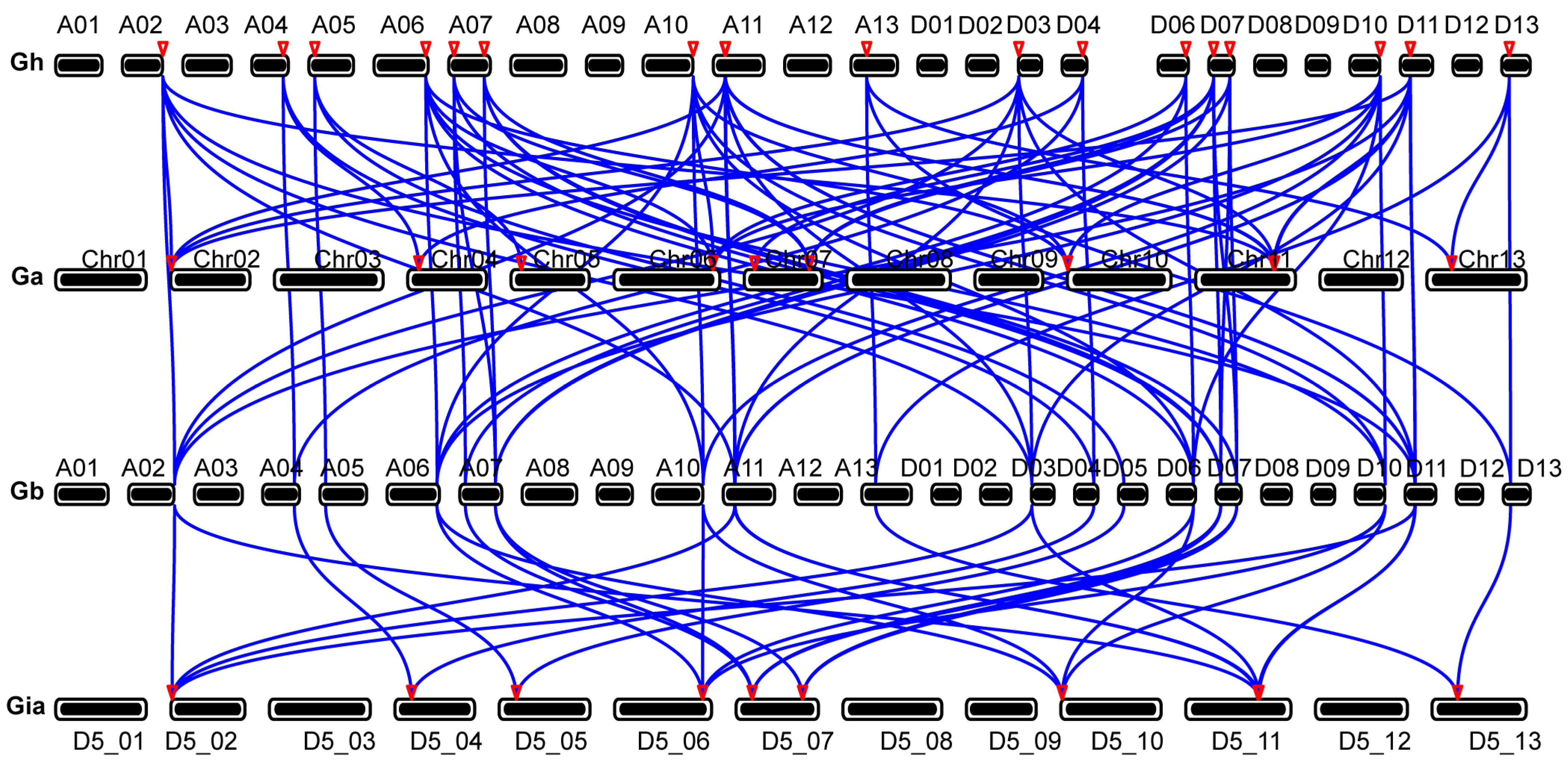 Biology 13 00380 g007