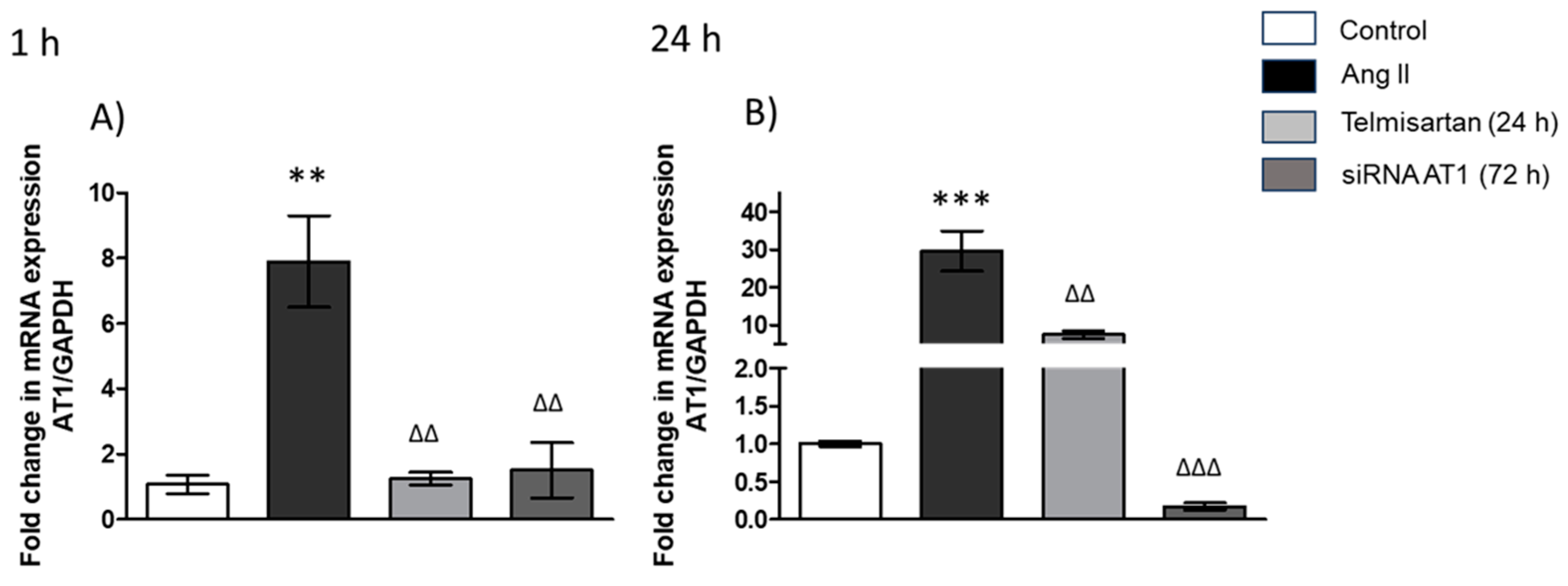 Biology 13 00382 g001