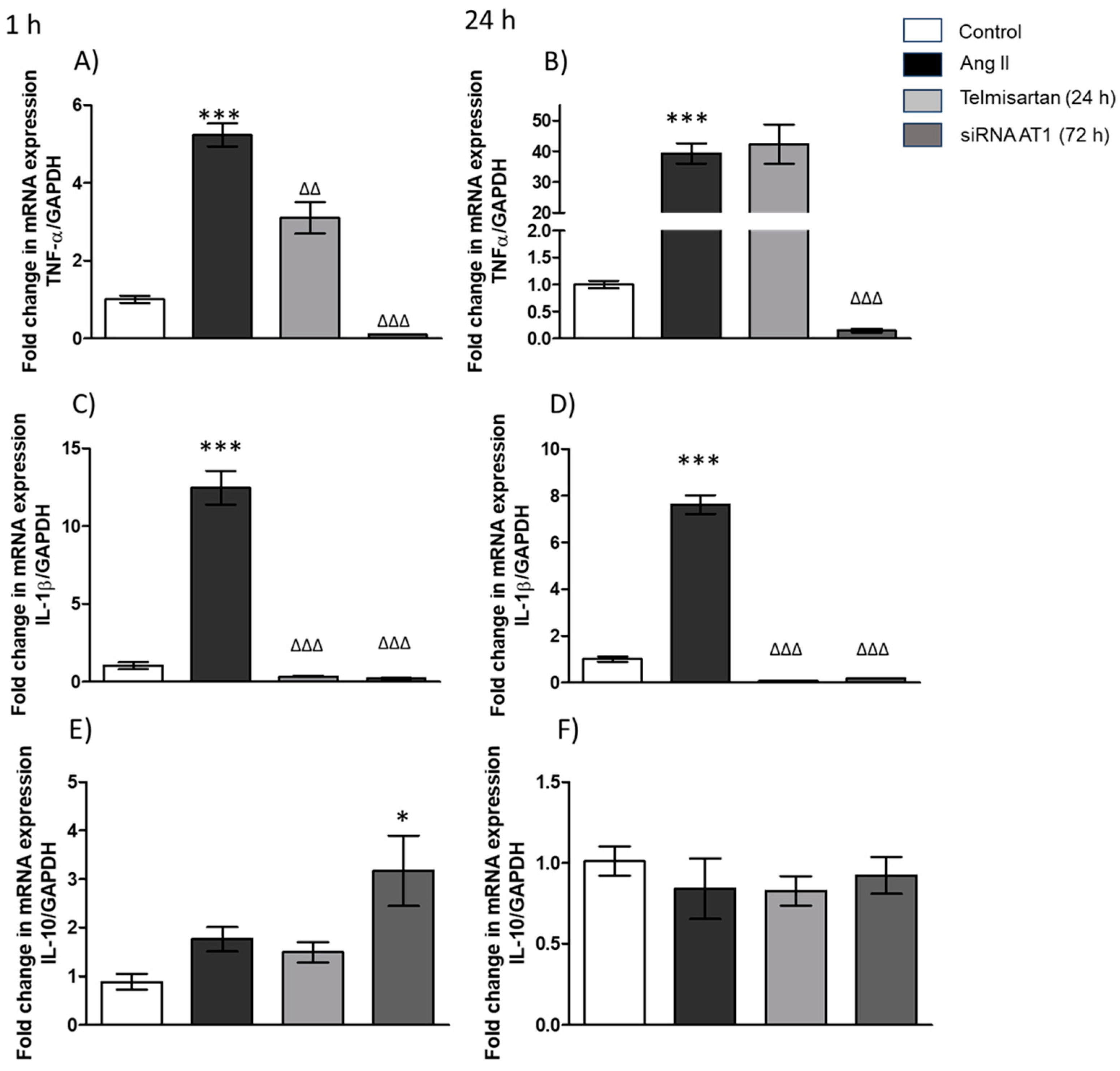 Biology 13 00382 g003