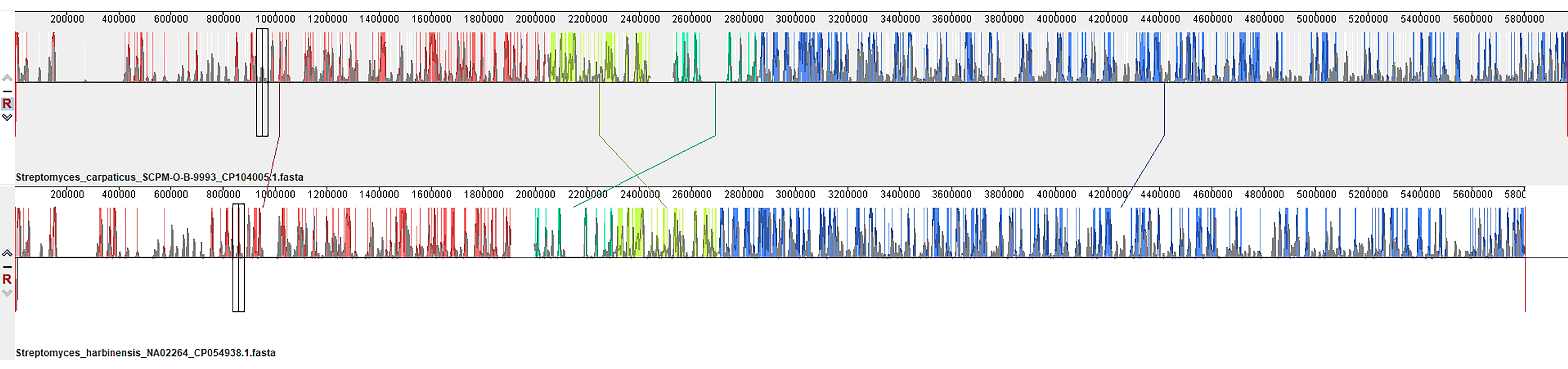 Biology 13 00388 g004