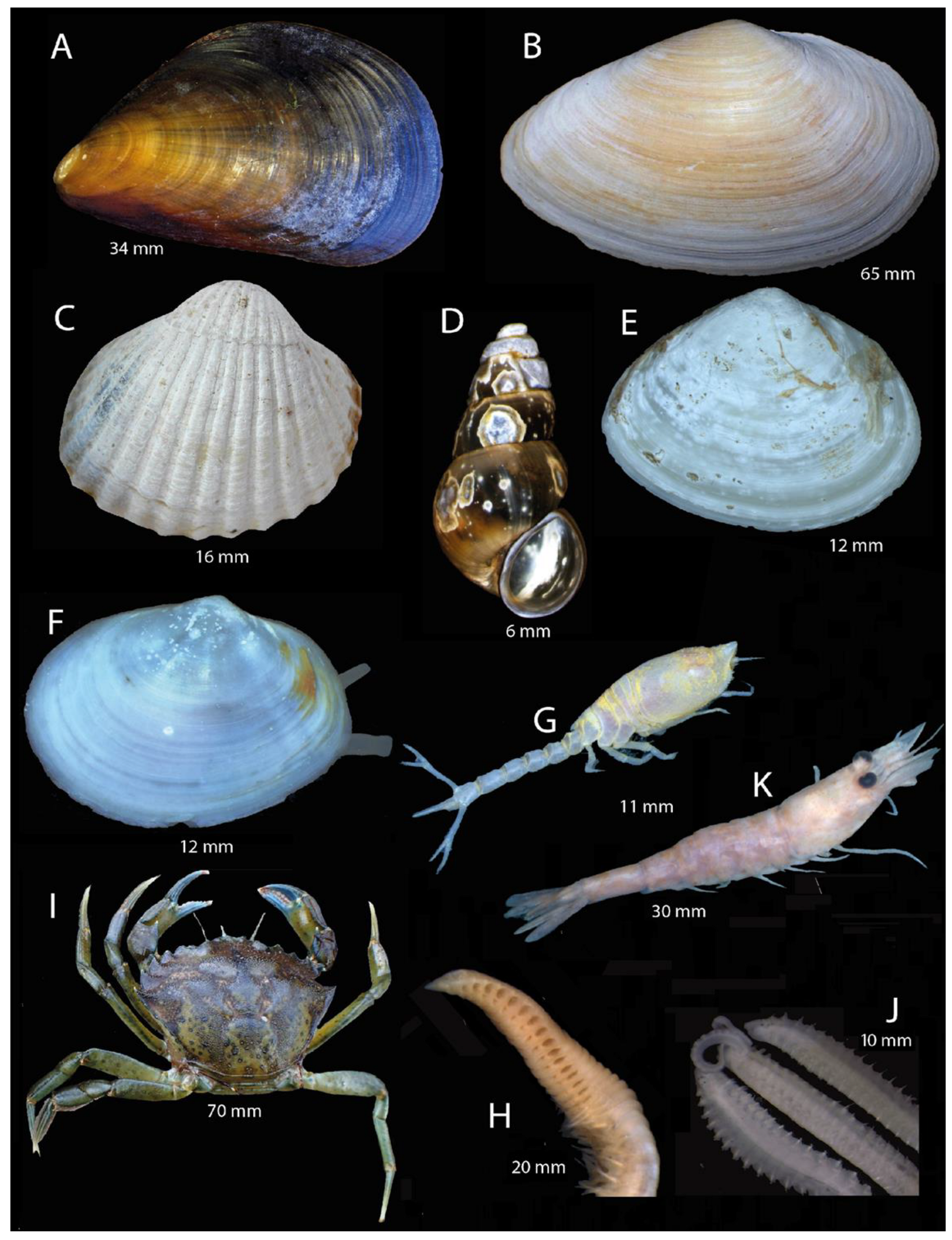 Biology 13 00389 g006