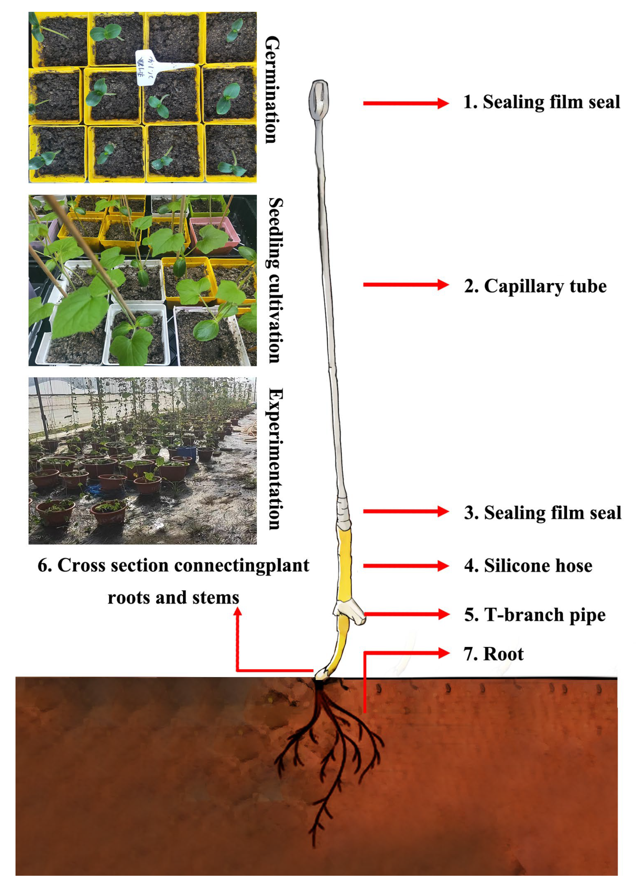 Biology 13 00392 g001