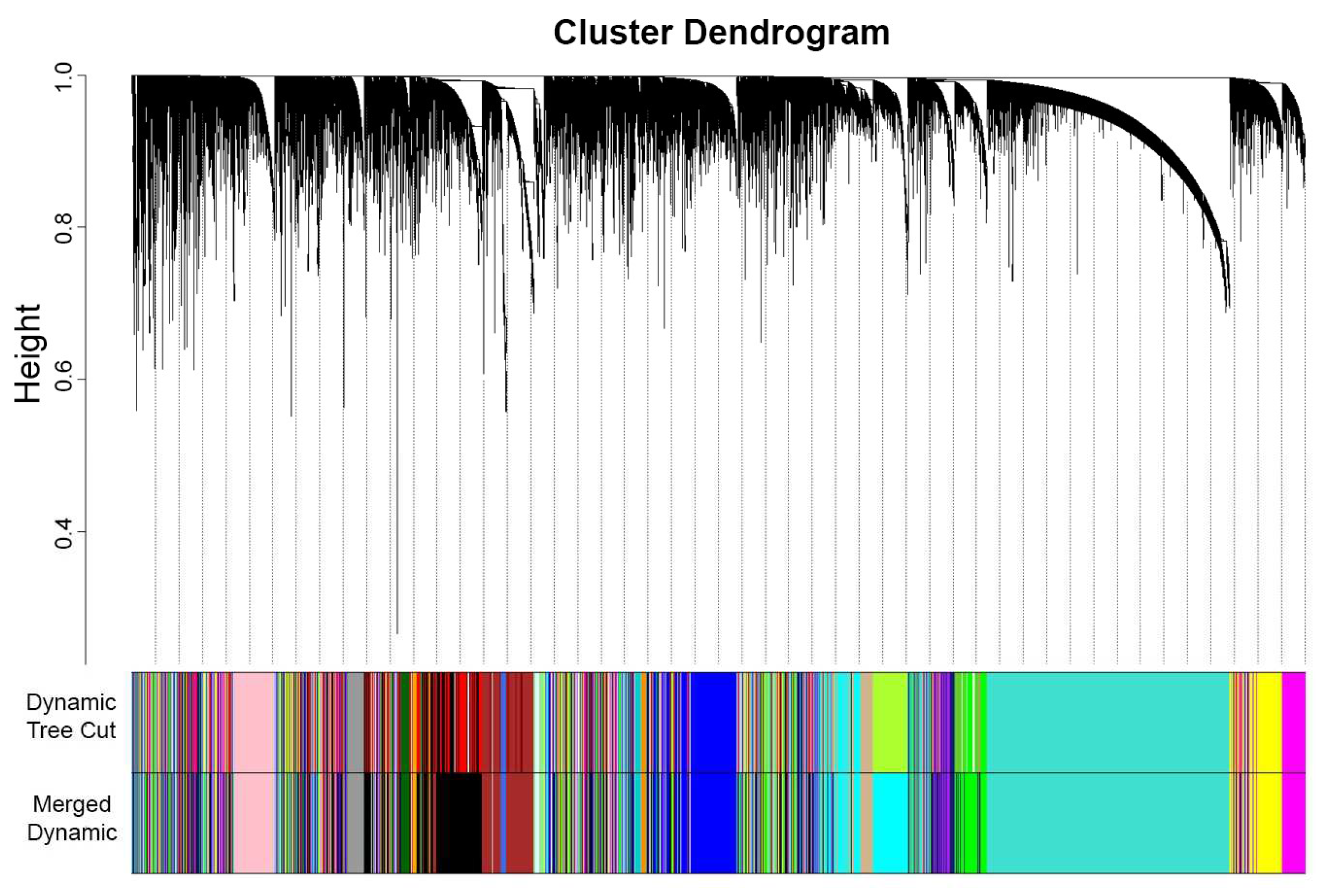 Biology 13 00397 g003 Biology 13 00397 g003