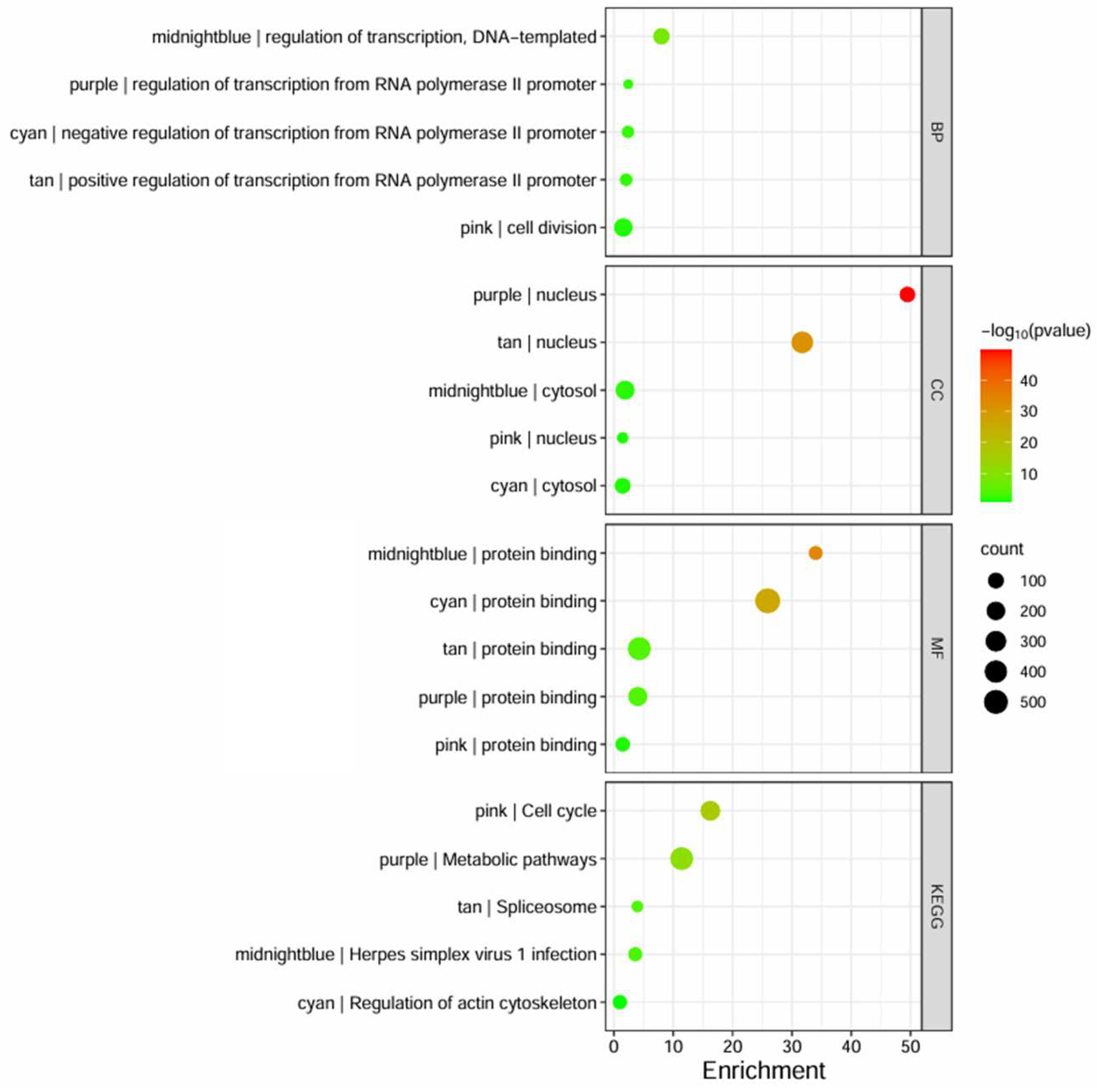 Biology 13 00397 g005 Biology 13 00397 g005