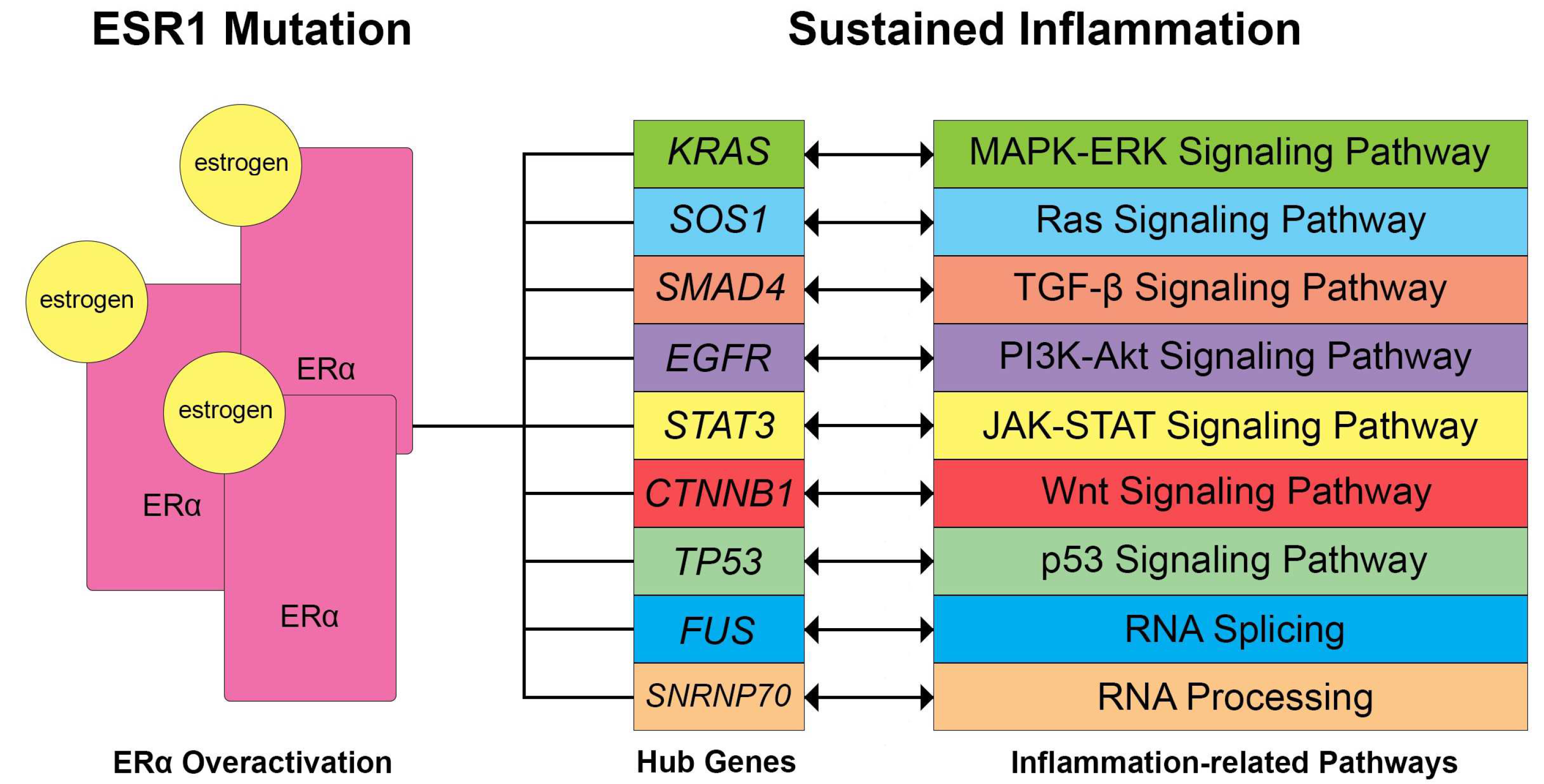 Biology 13 00397 g007 Biology 13 00397 g007