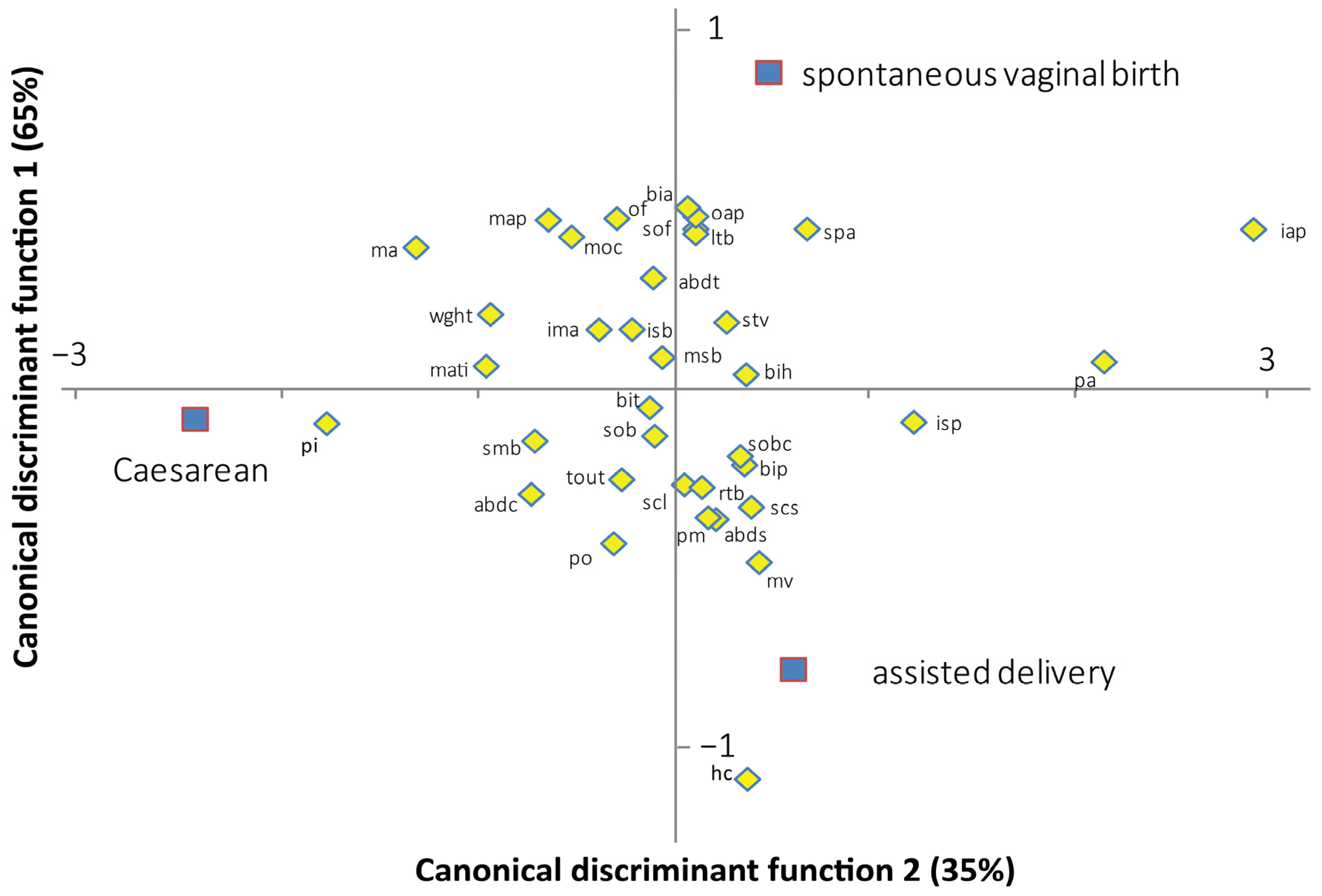 Biology 13 00398 g003
