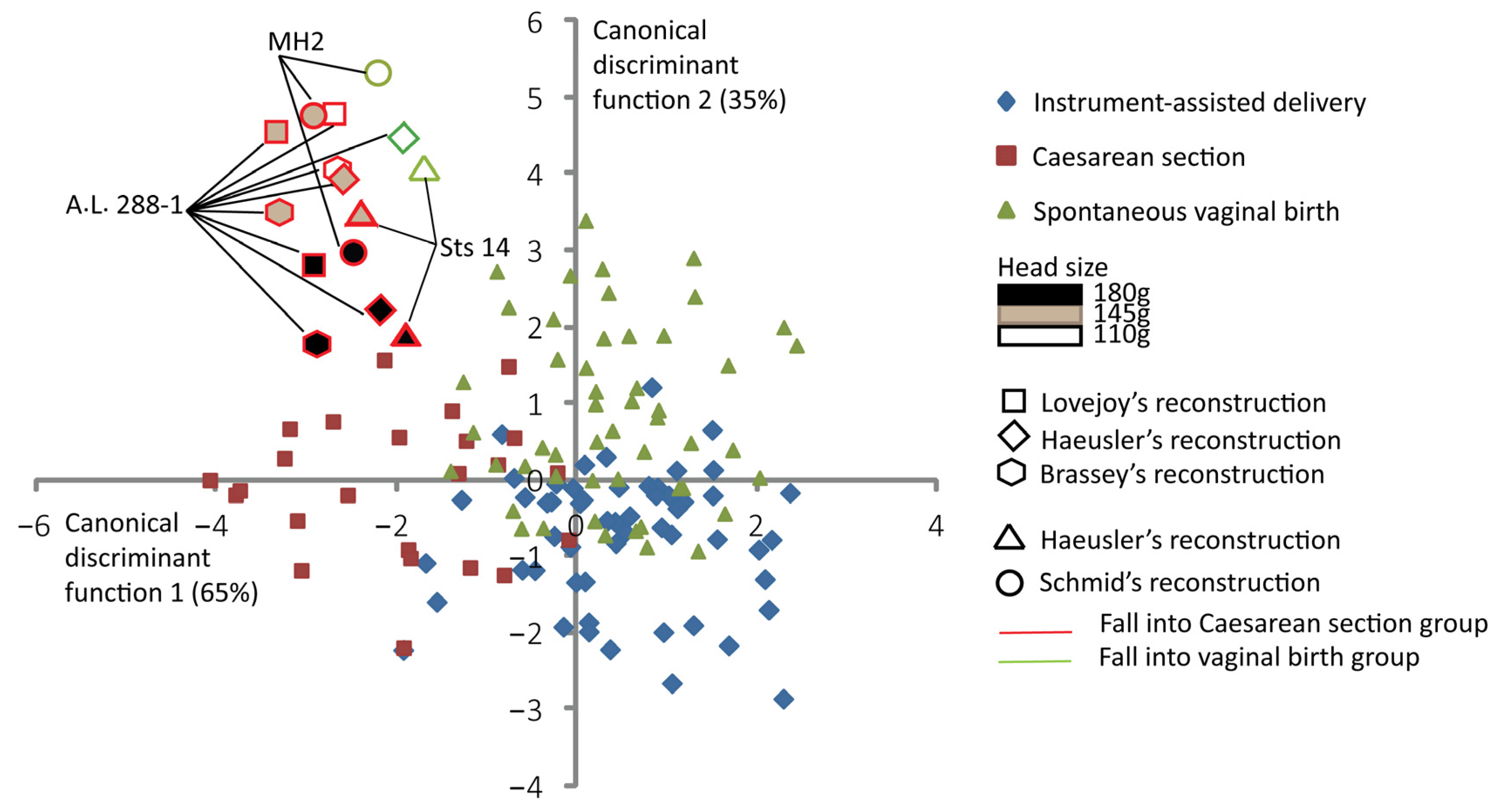 Biology 13 00398 g004