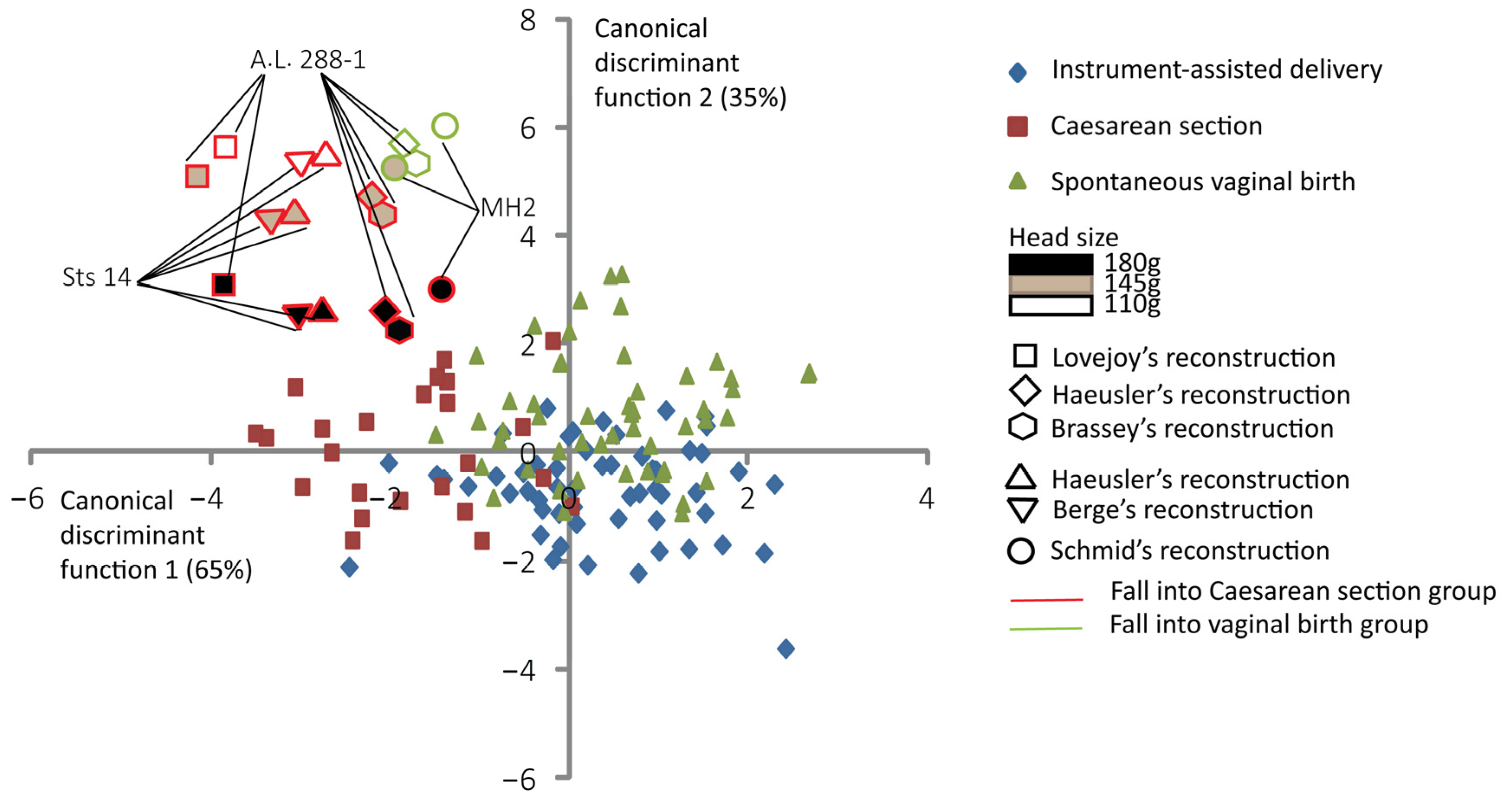 Biology 13 00398 g005