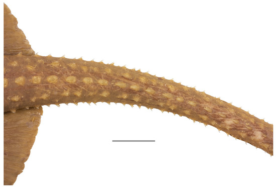 Biology 13 00405 g009