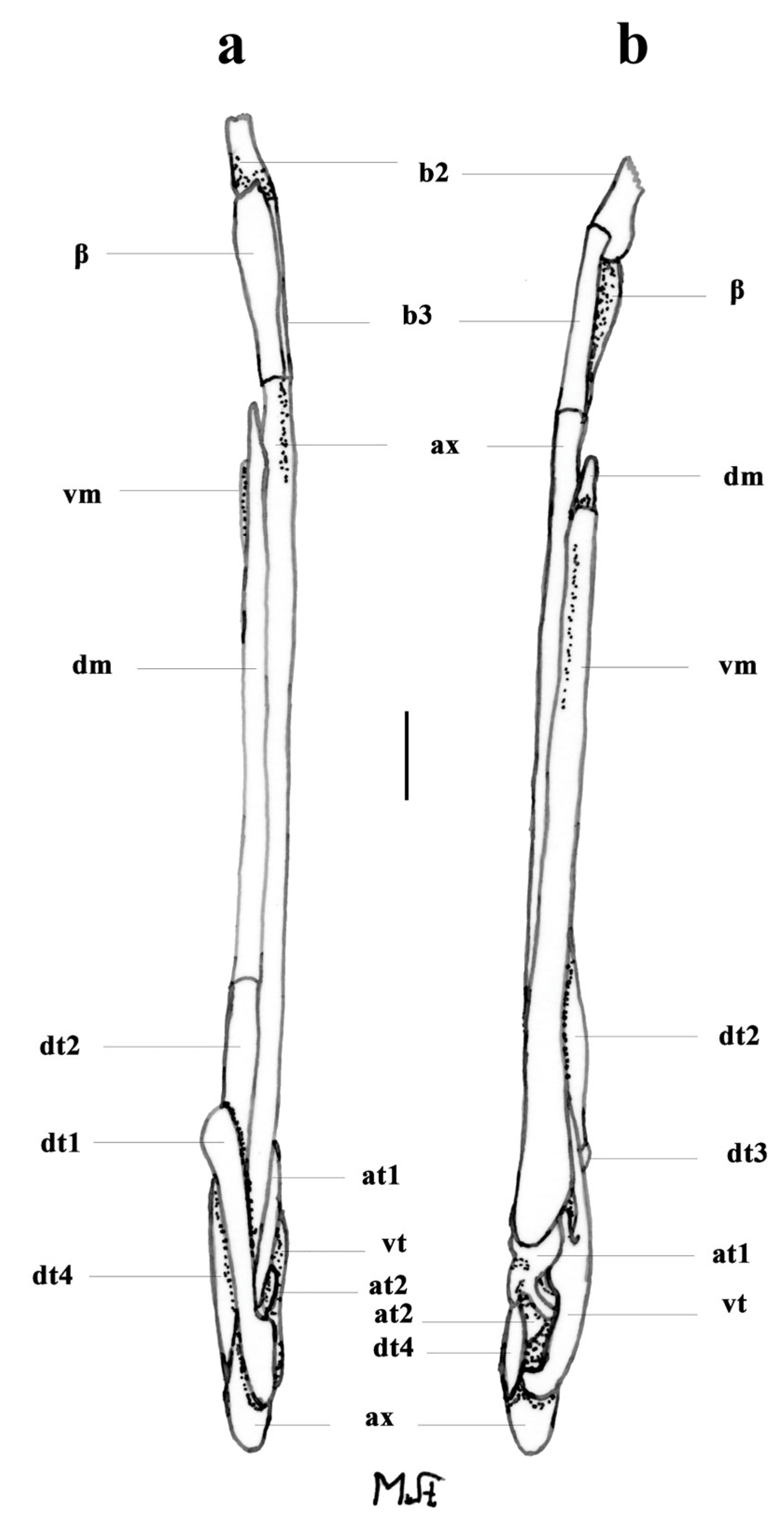 Biology 13 00405 g021