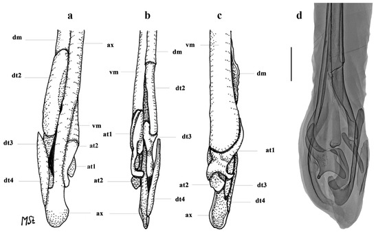 Biology 13 00405 g022