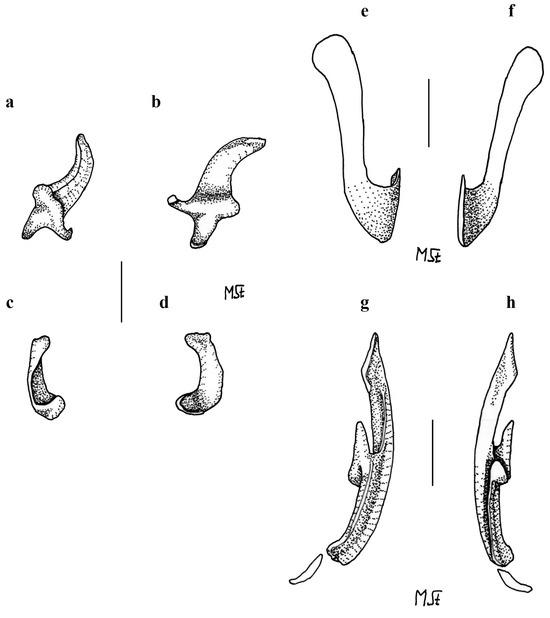 Biology 13 00405 g024