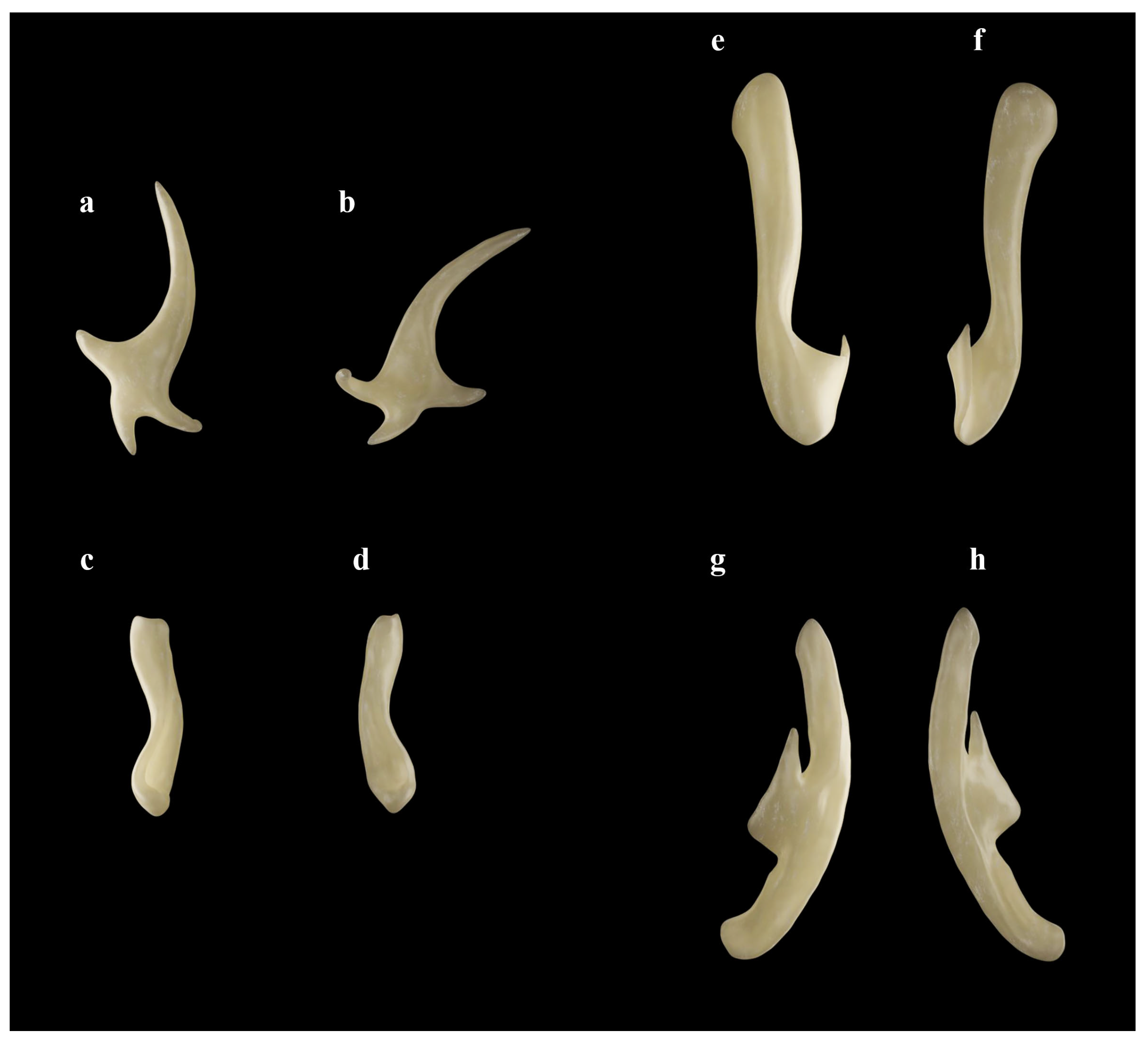 Biology 13 00405 g025