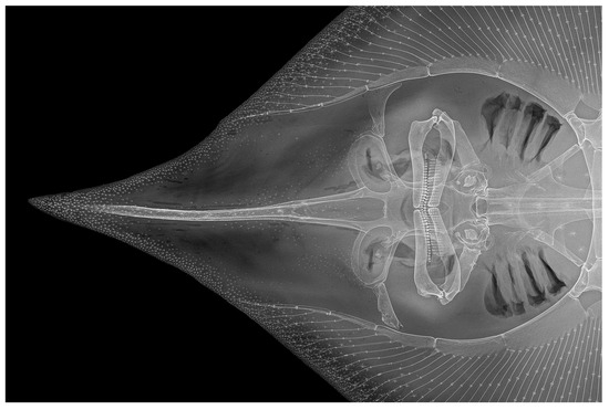 Biology 13 00405 g028