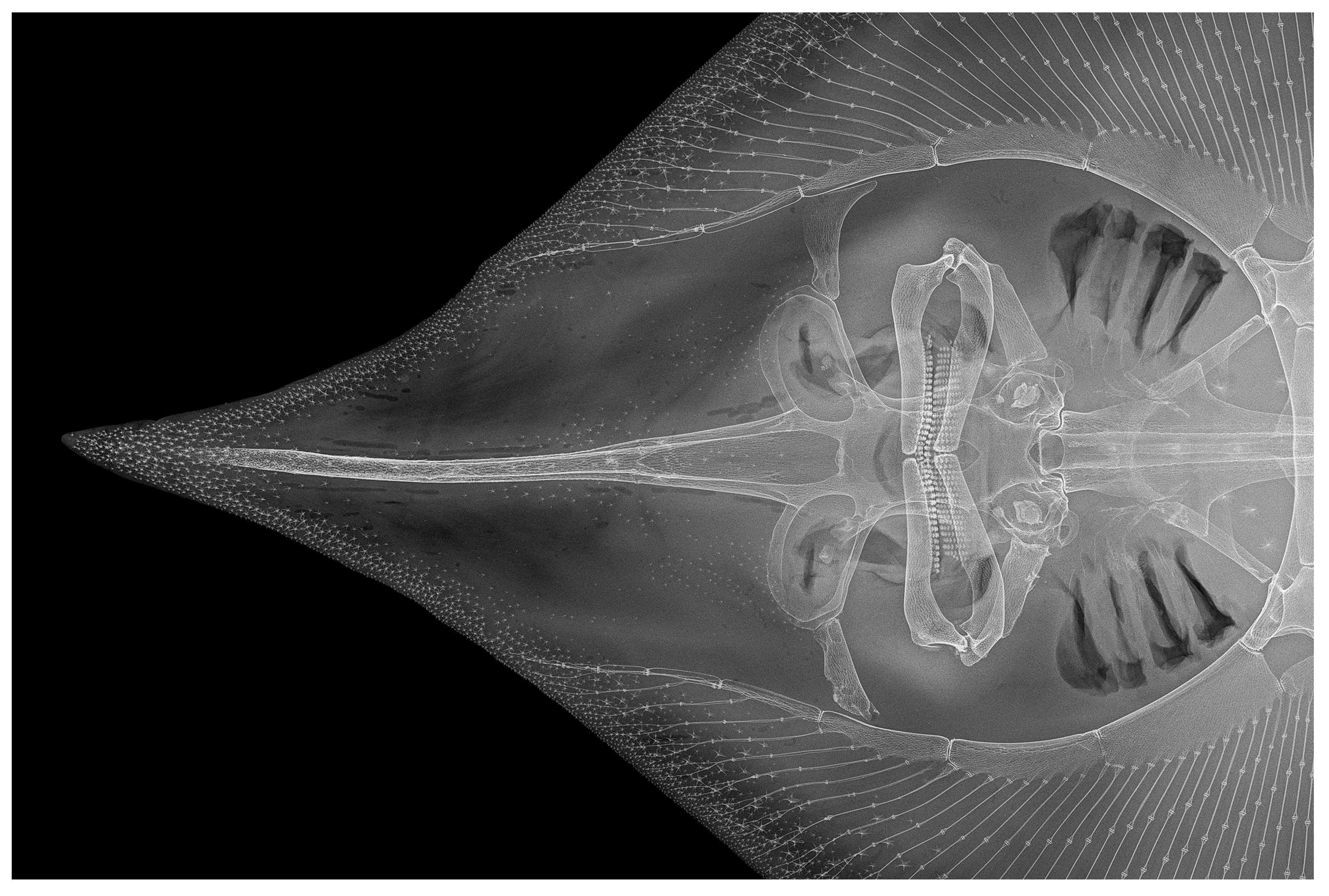 Biology 13 00405 g028