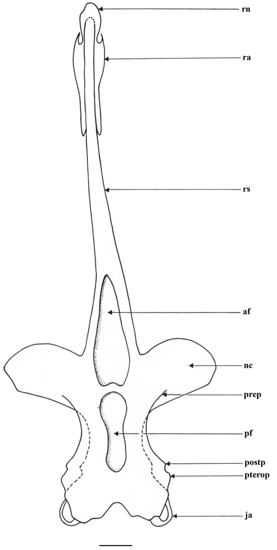 Biology 13 00405 g029