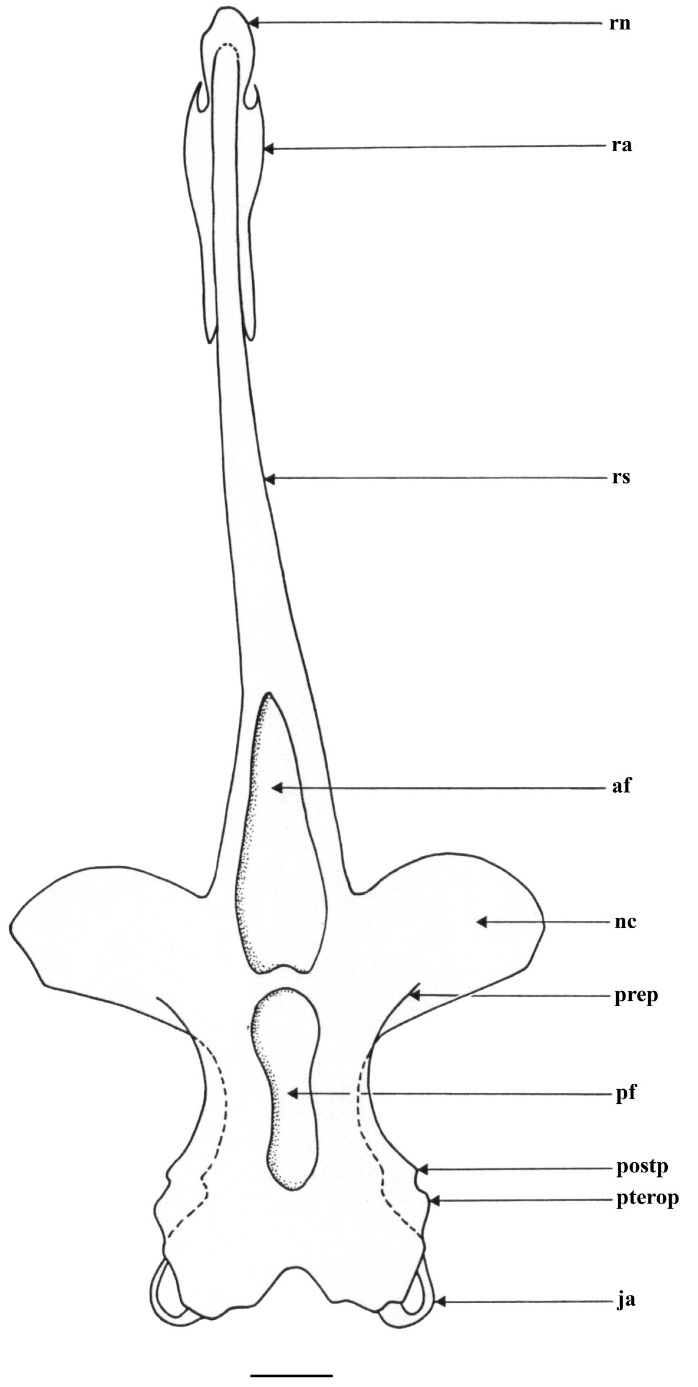 Biology 13 00405 g029