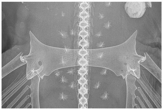 Biology 13 00405 g032