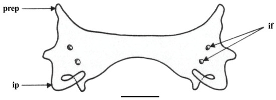 Biology 13 00405 g033