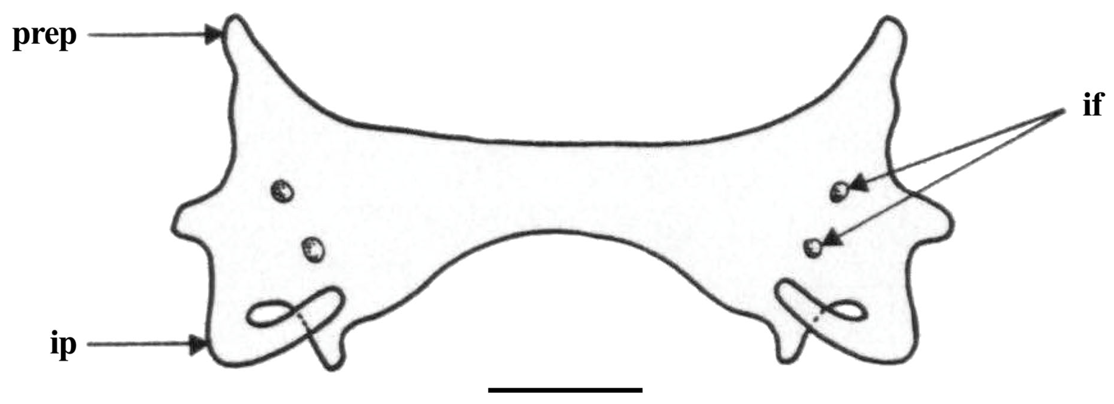 Biology 13 00405 g033