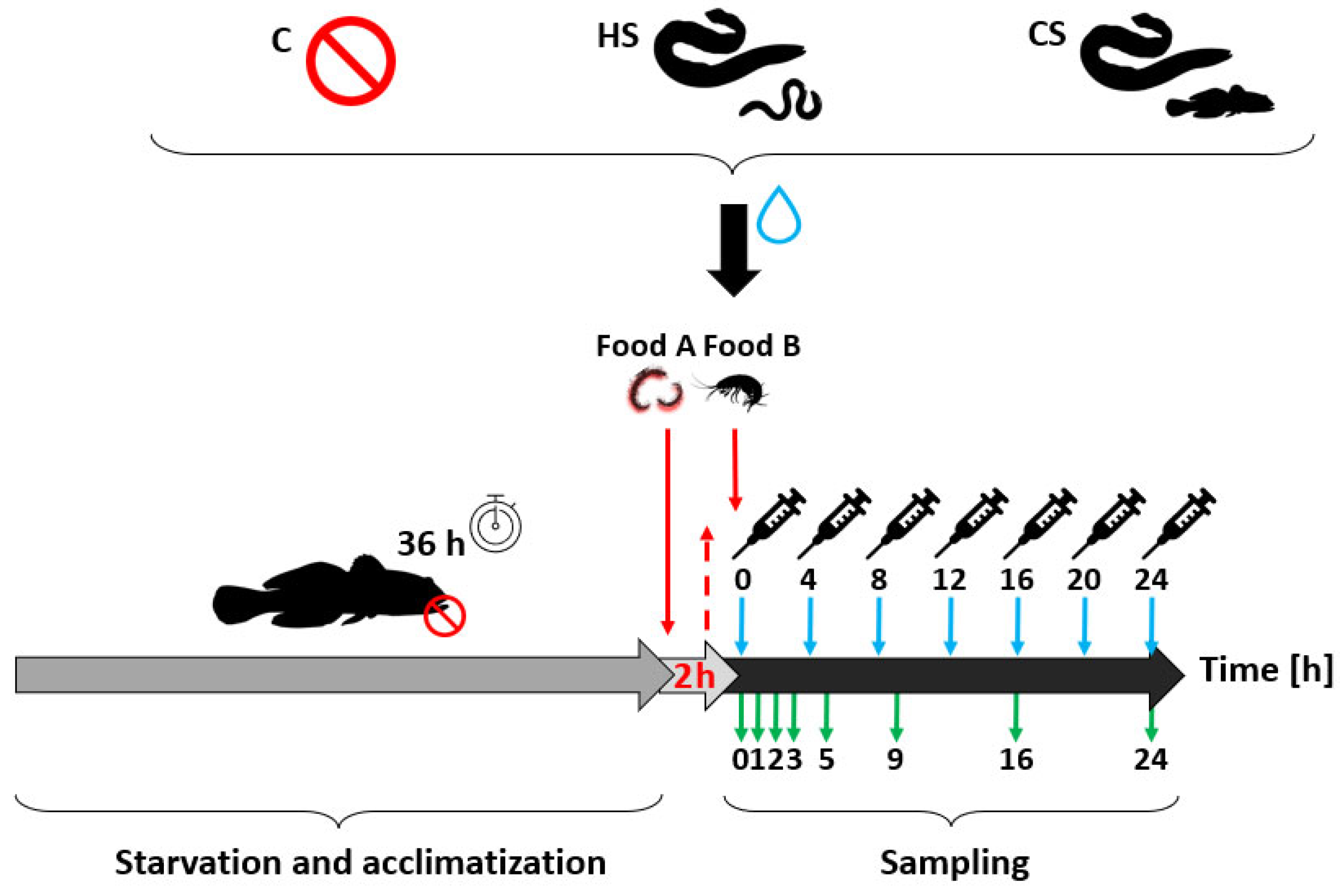 Biology 13 00406 g002