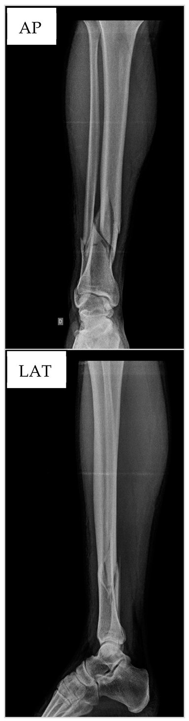 Biology 13 00407 i001