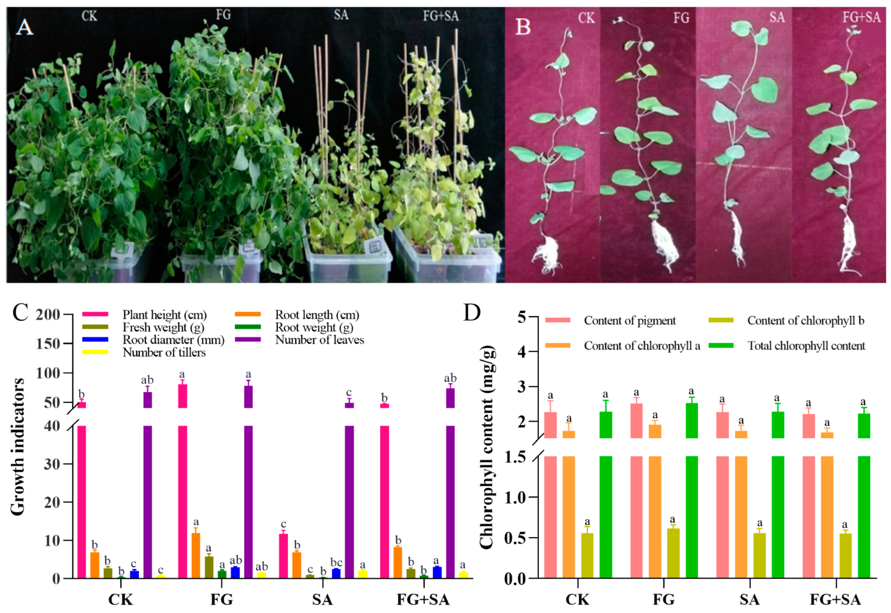 Biology 13 00408 g001