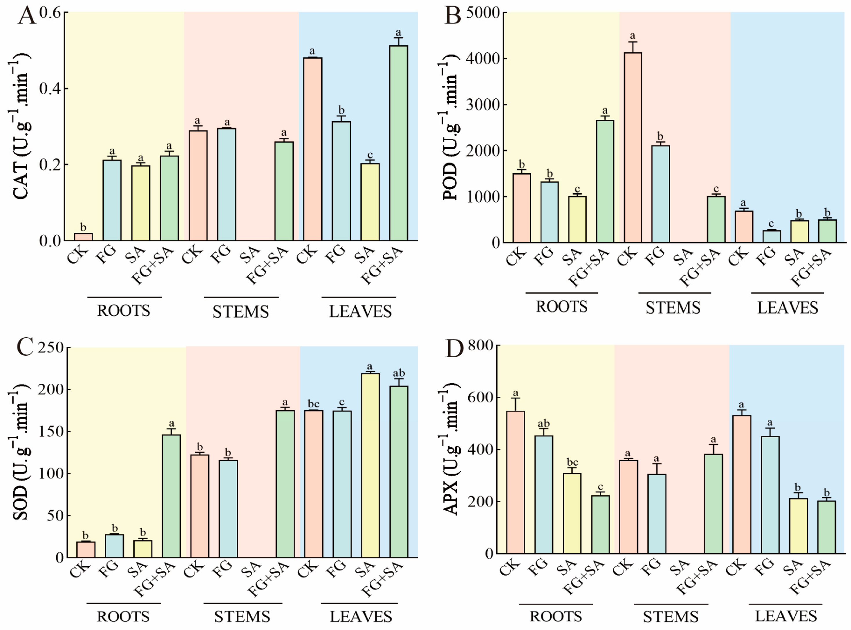 Biology 13 00408 g005