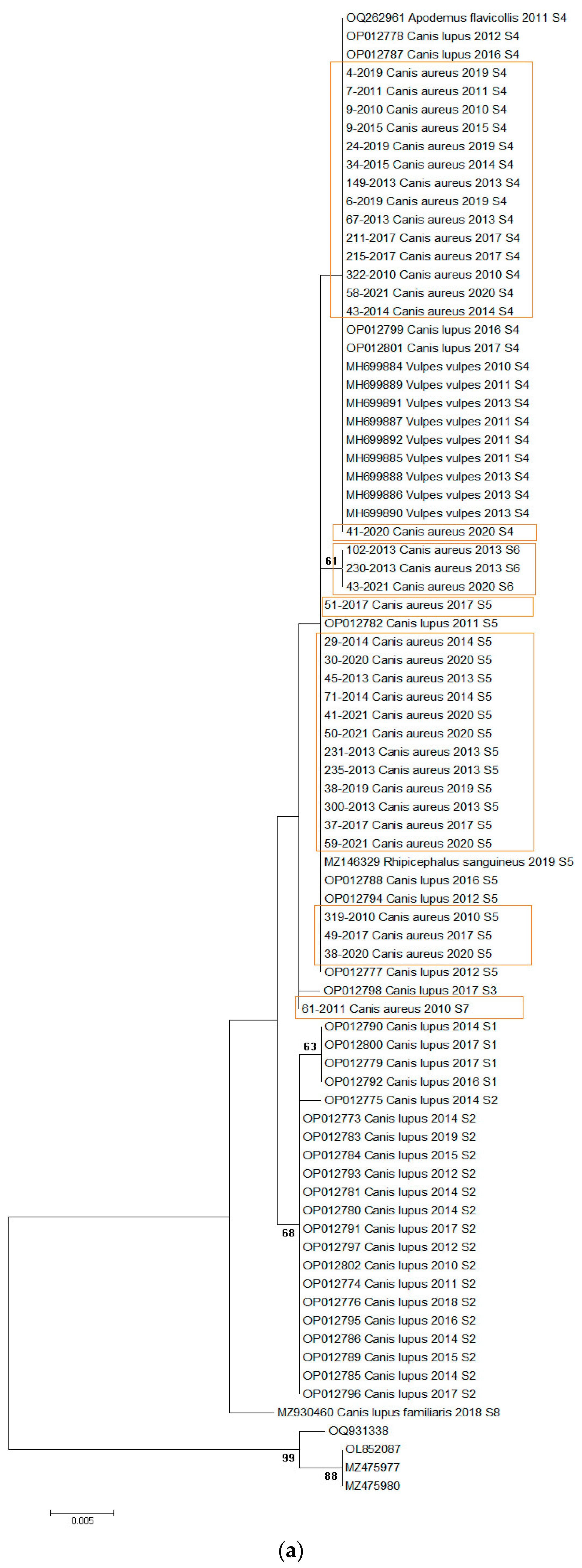 Biology 13 00411 g002a
