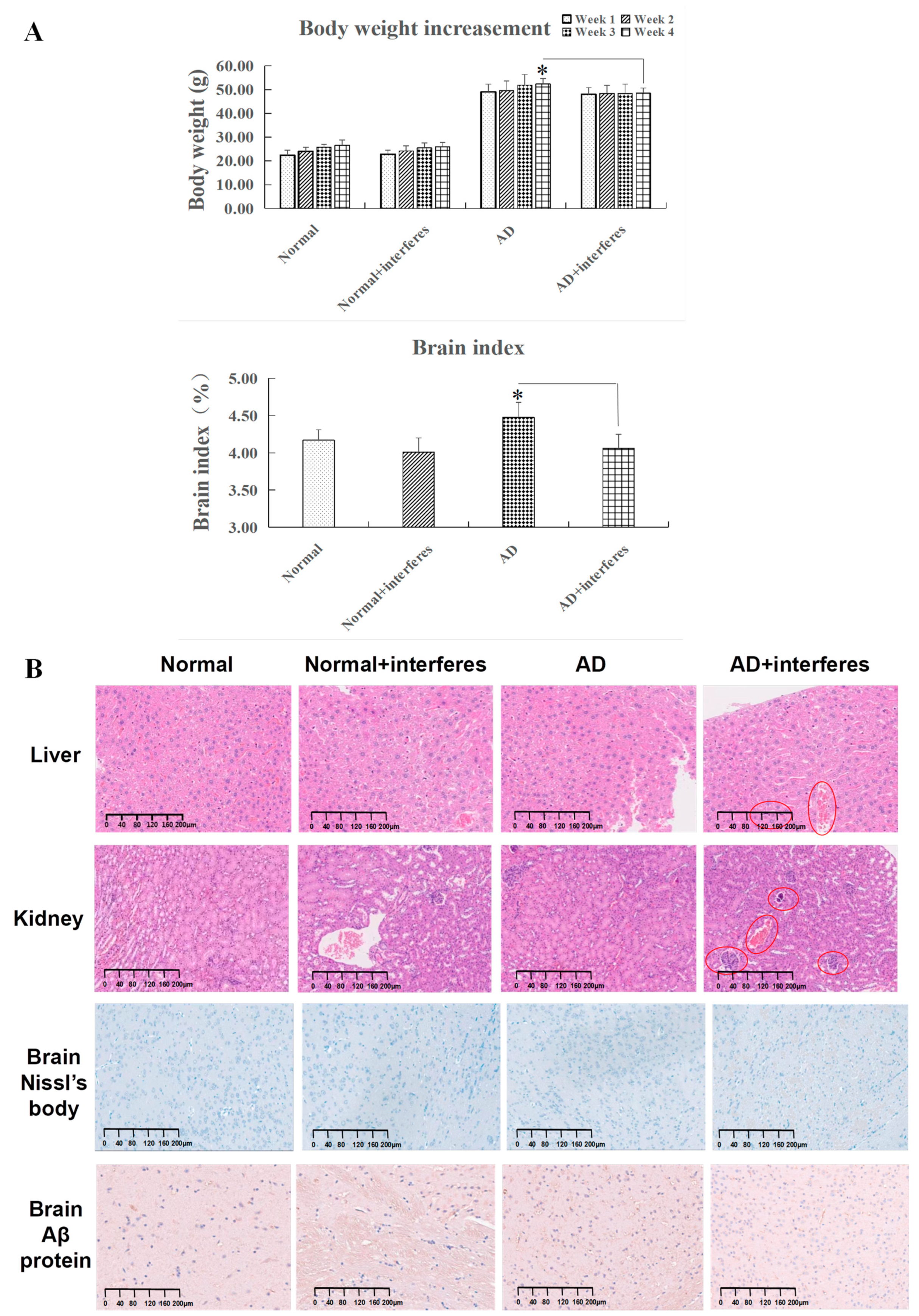Biology 13 00412 g002