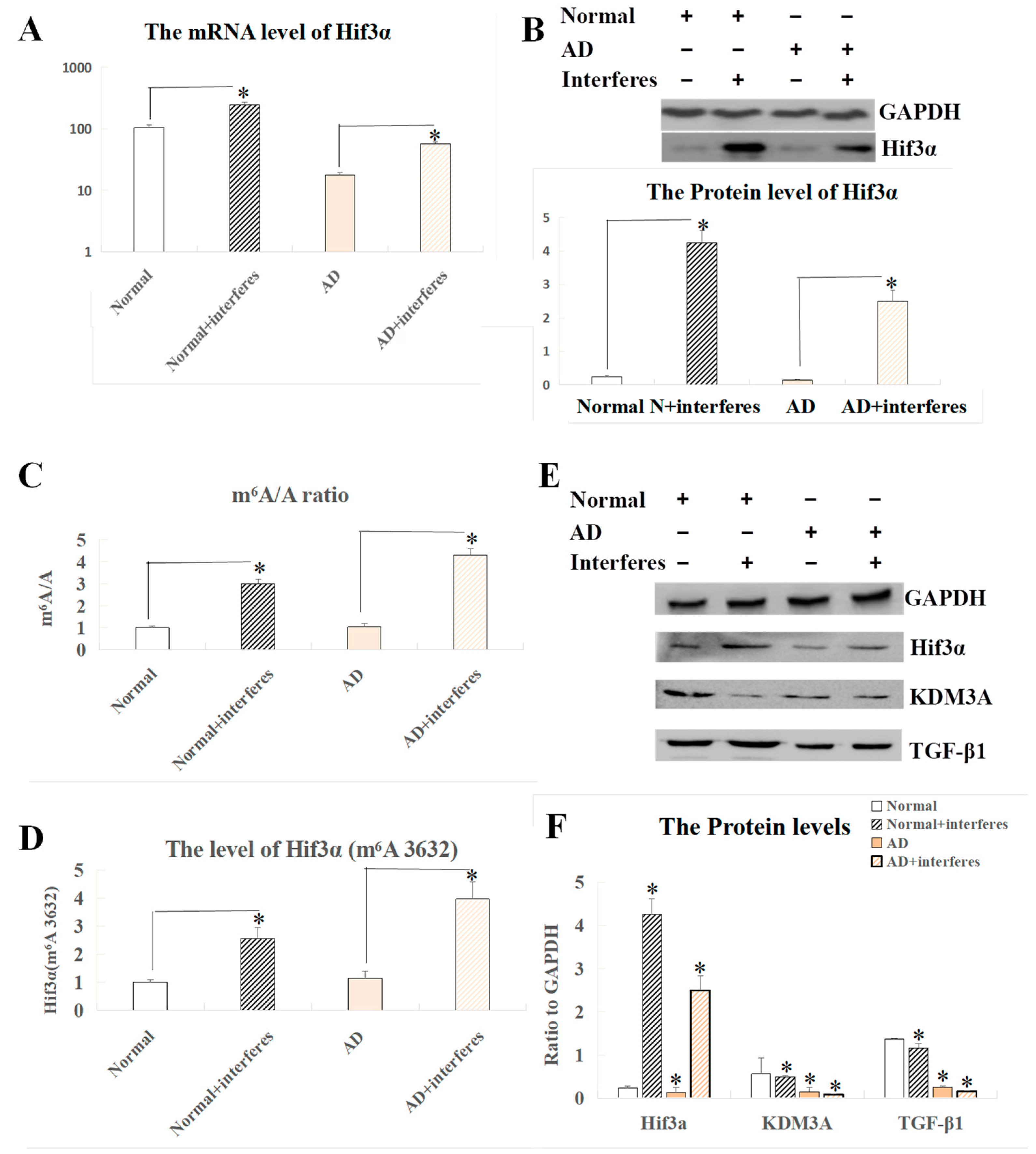Biology 13 00412 g005