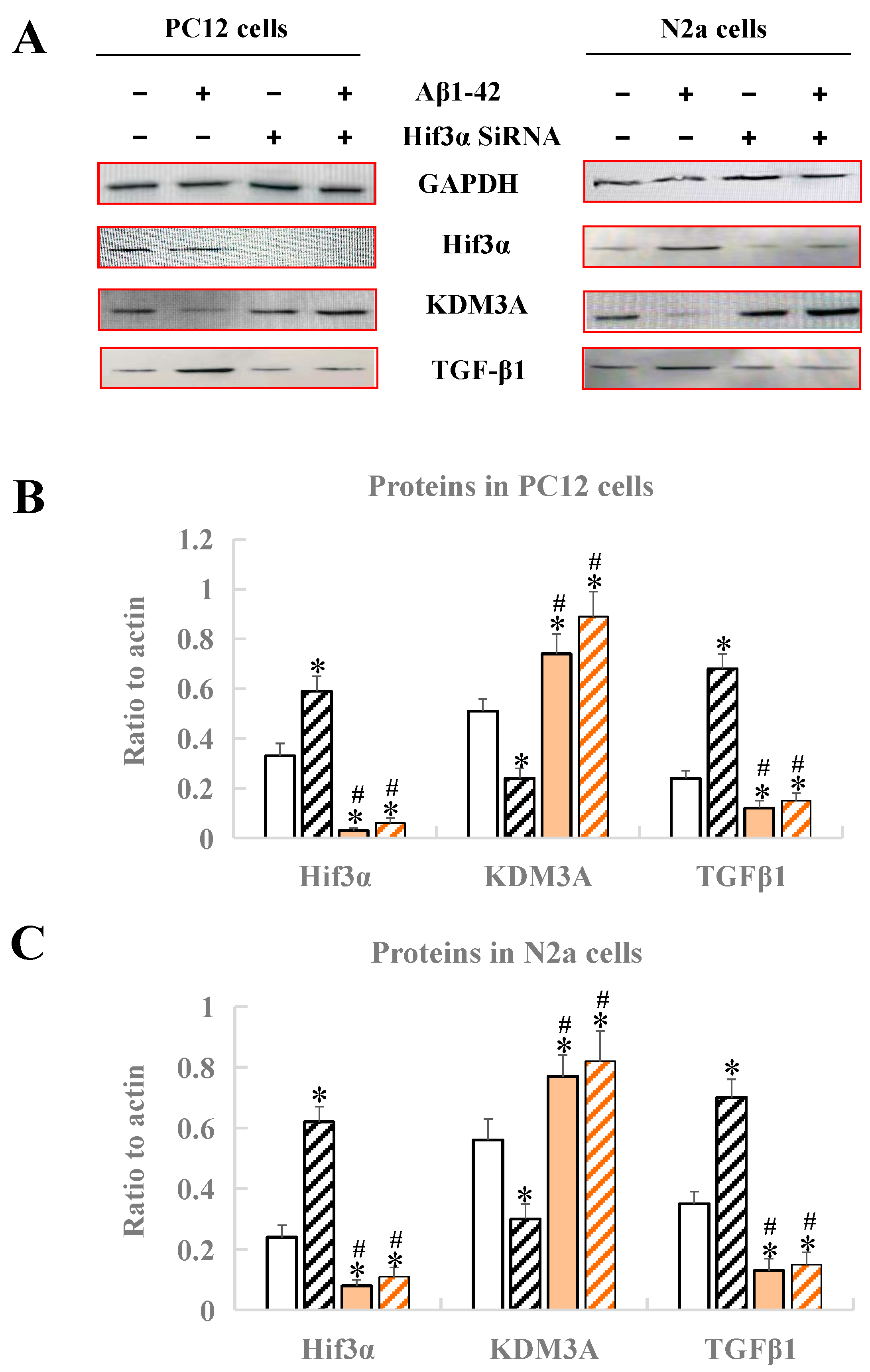 Biology 13 00412 g006