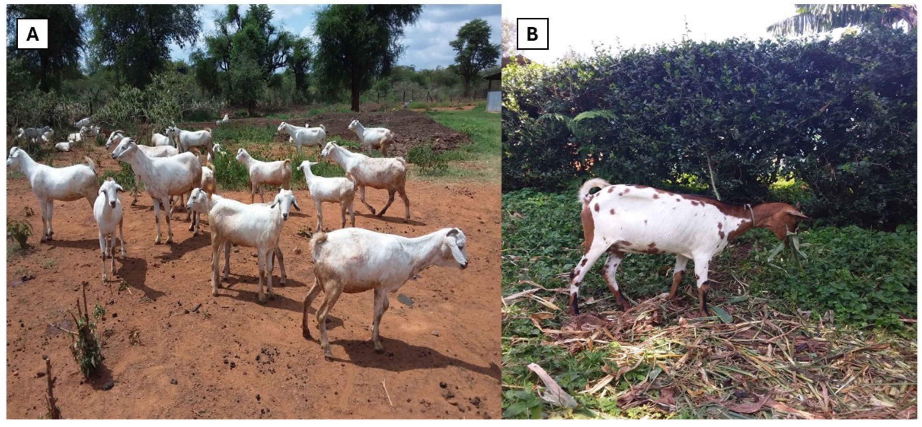 Biology 13 00419 g003