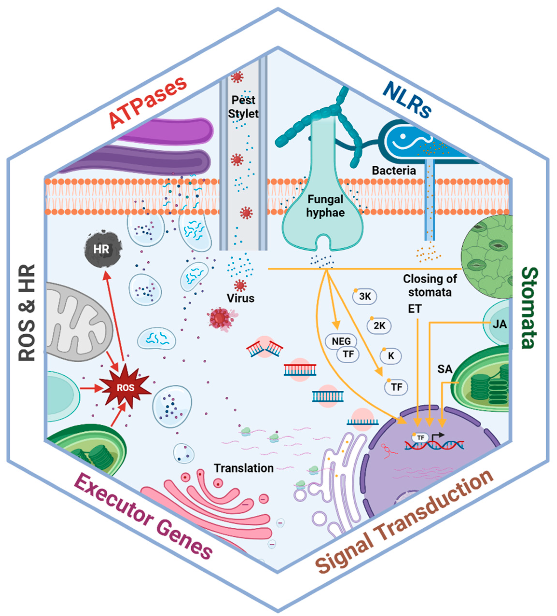 Biology 13 00421 g001