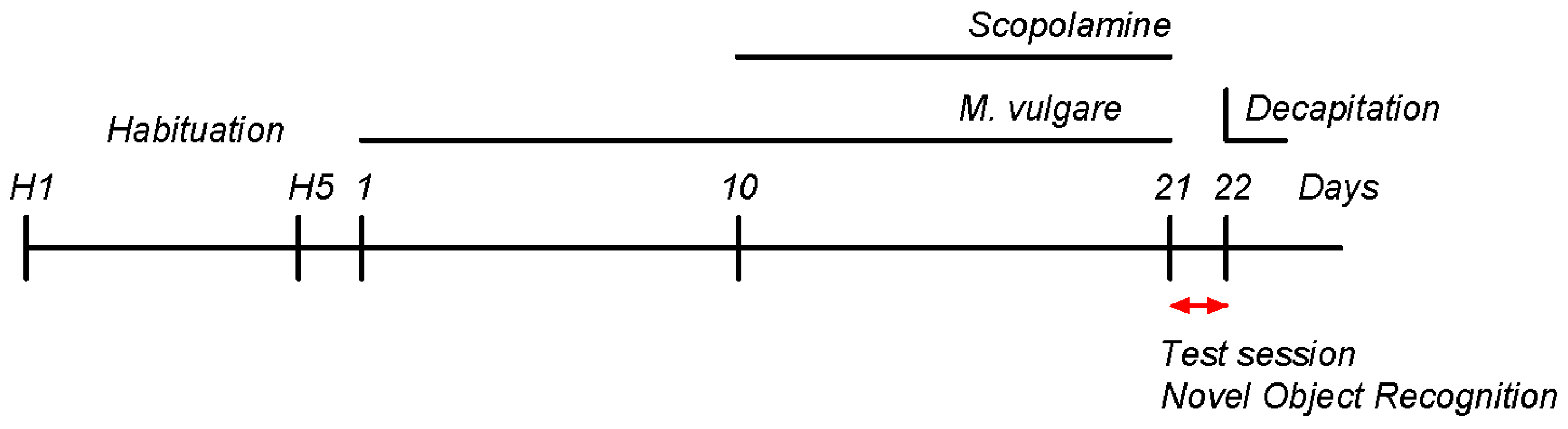 Biology 13 00426 g001