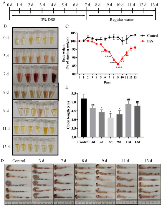 Biology 13 00427 g001