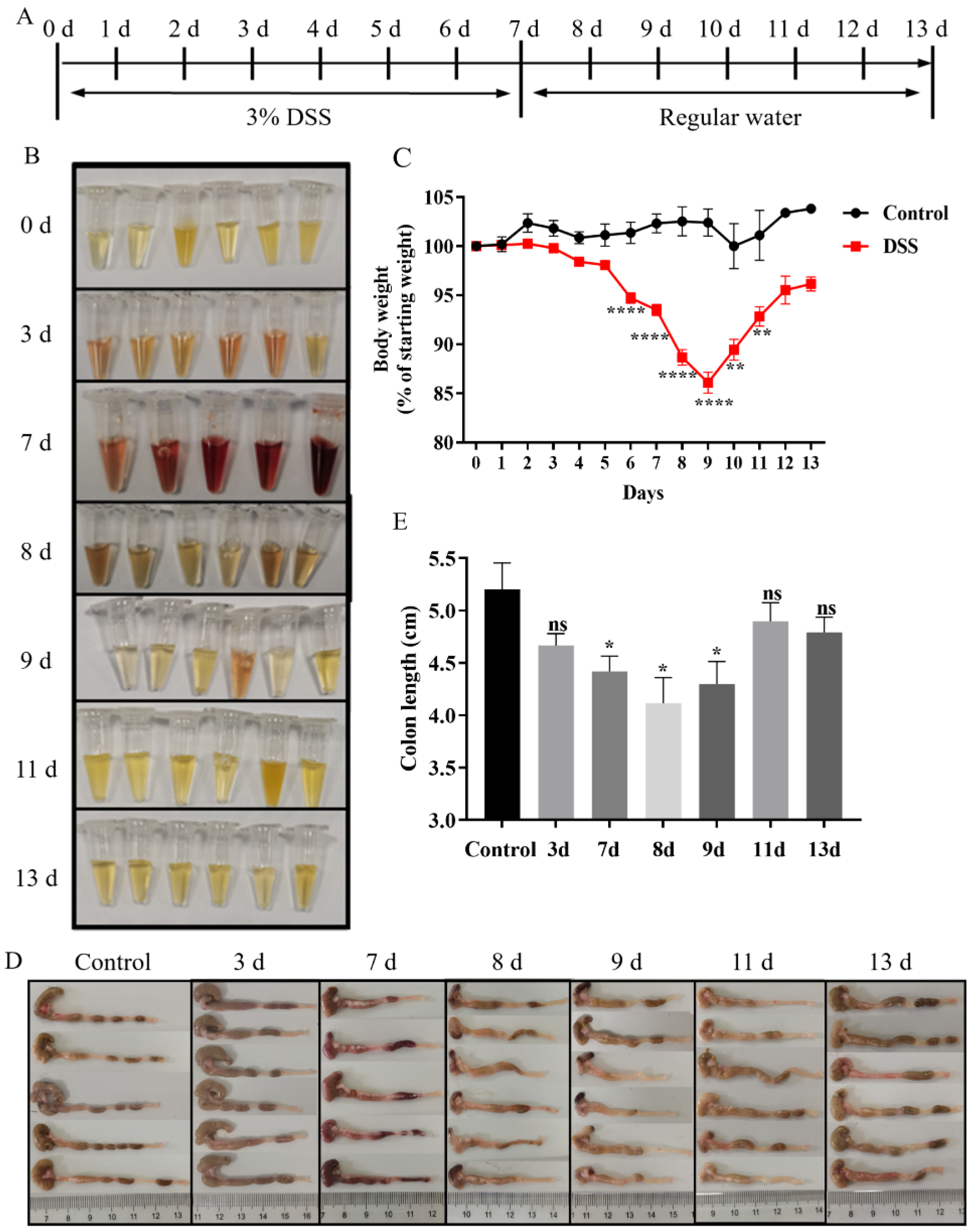Biology 13 00427 g001