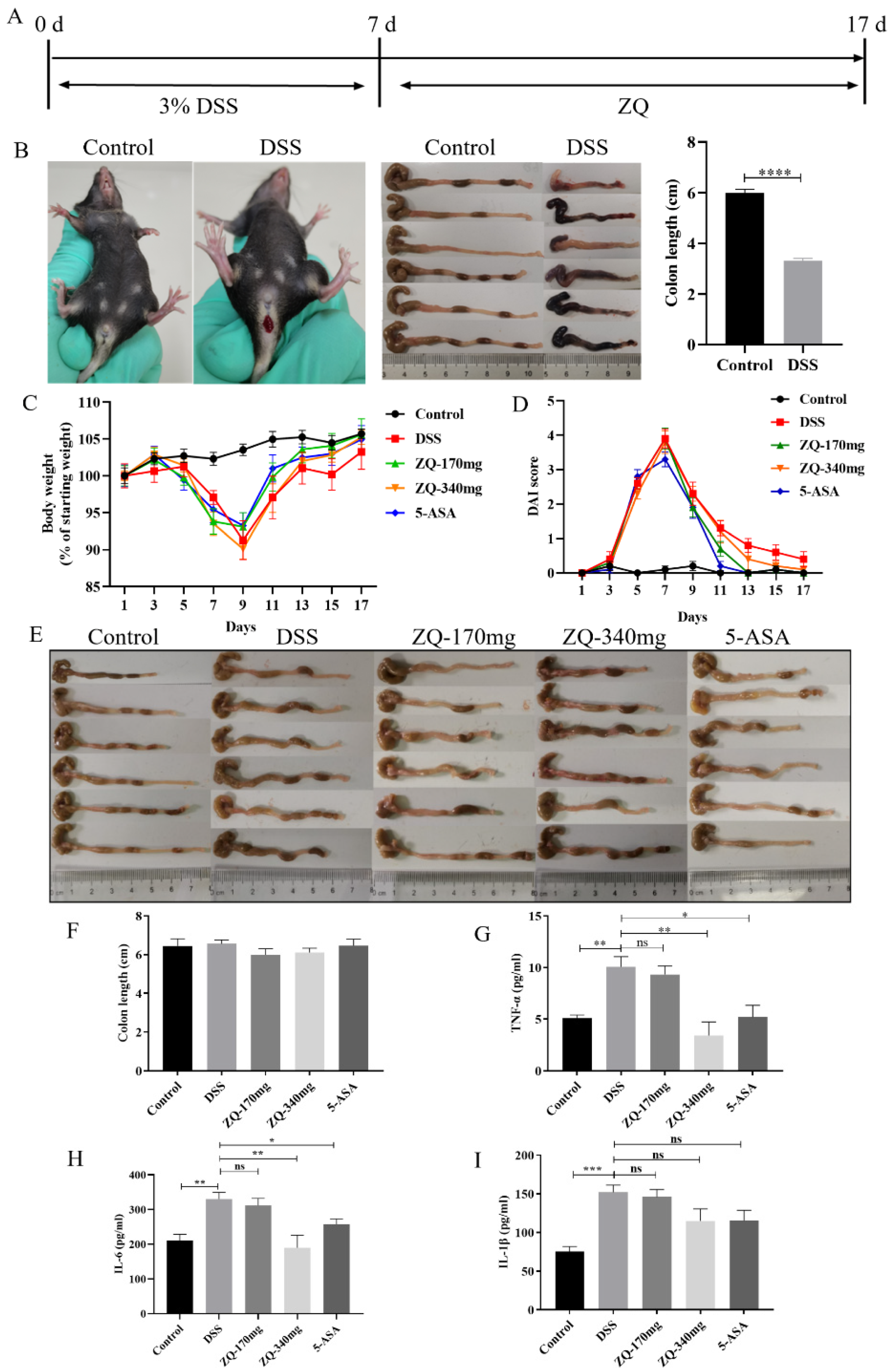 Biology 13 00427 g003