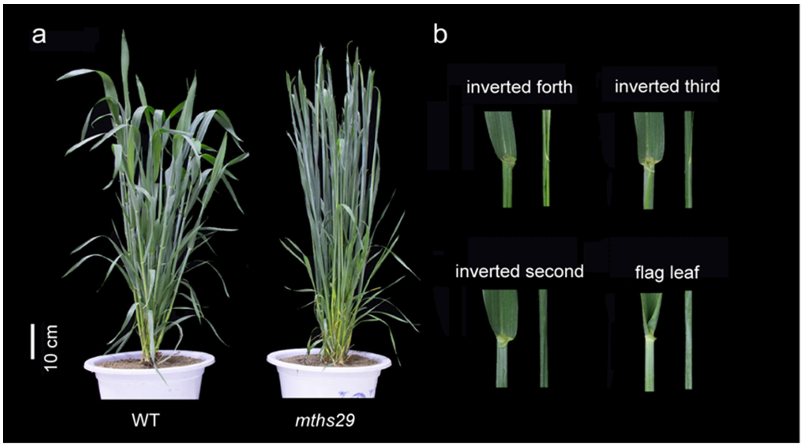 Biology 13 00430 g001