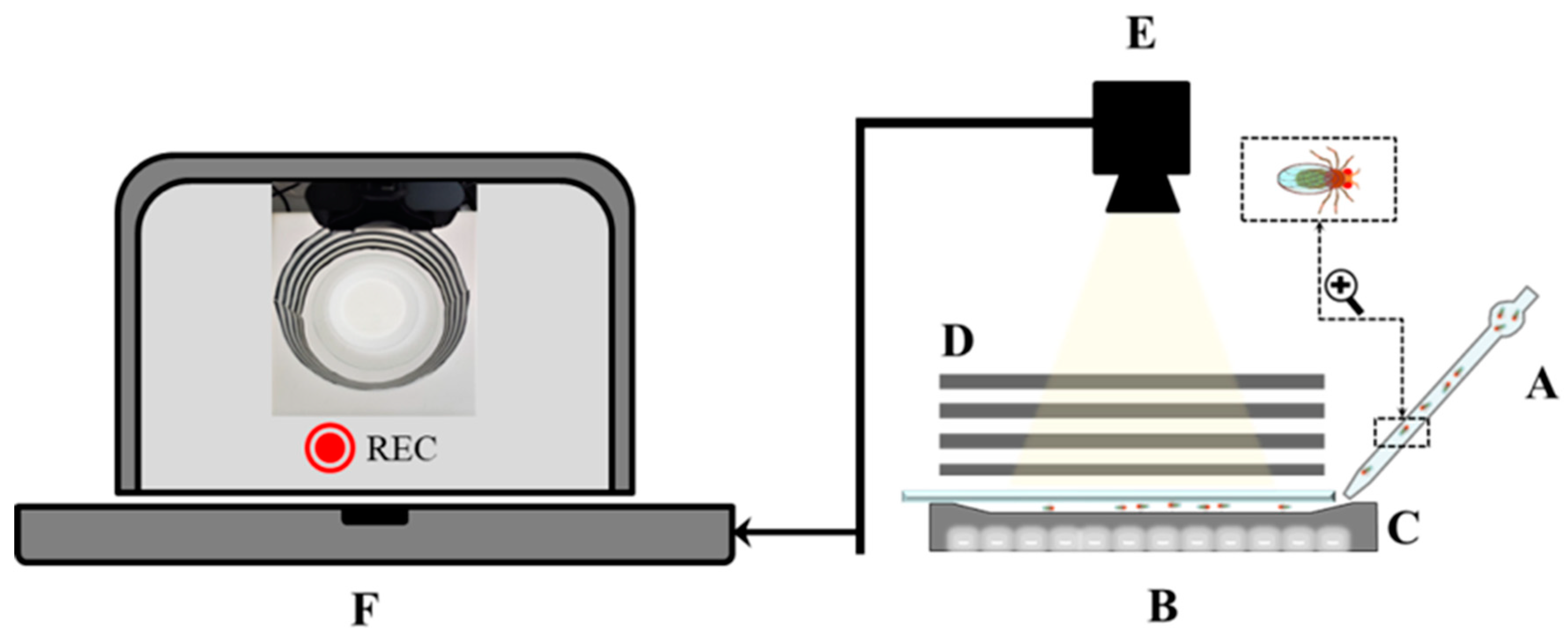 Biology 13 00432 g001