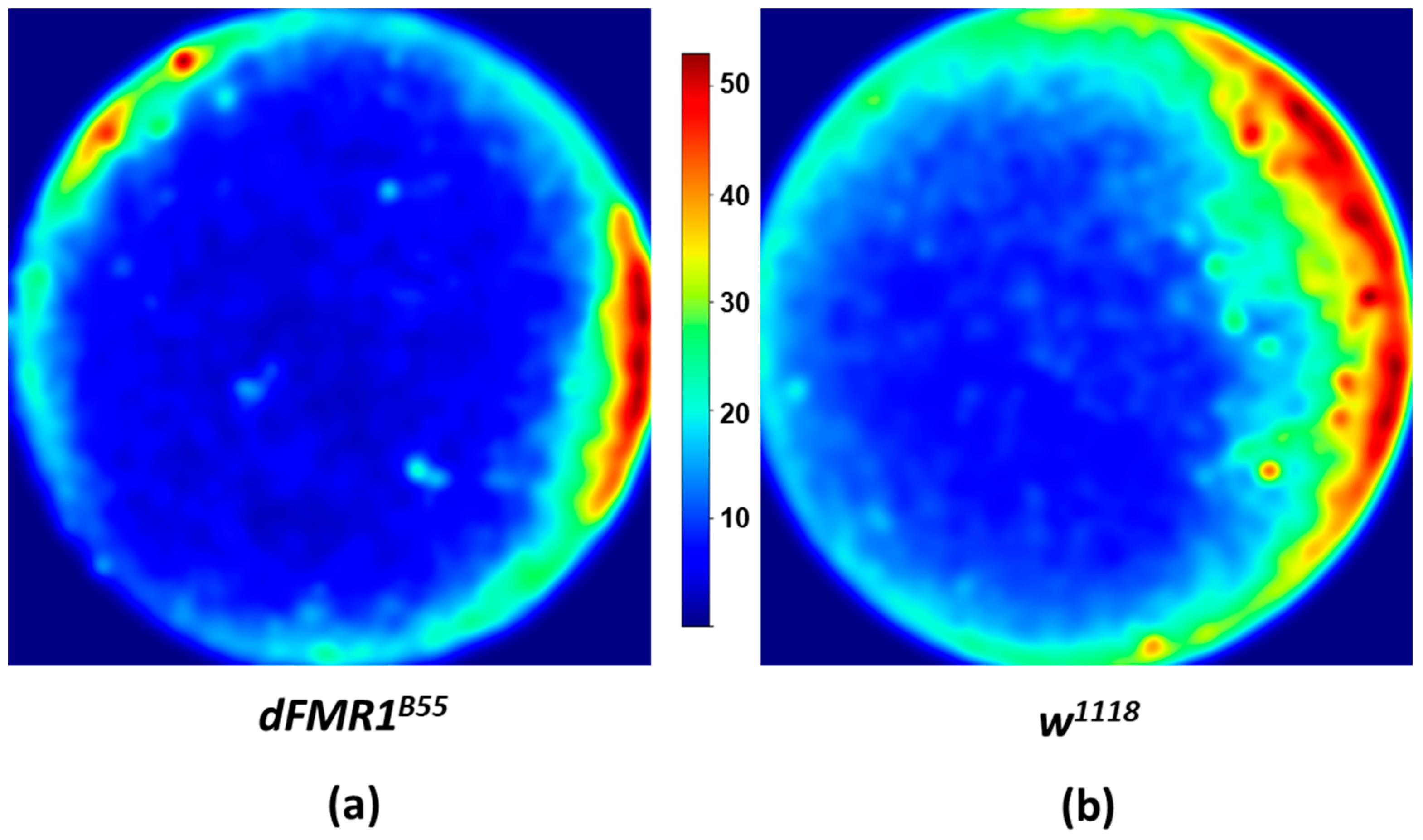 Biology 13 00432 g003